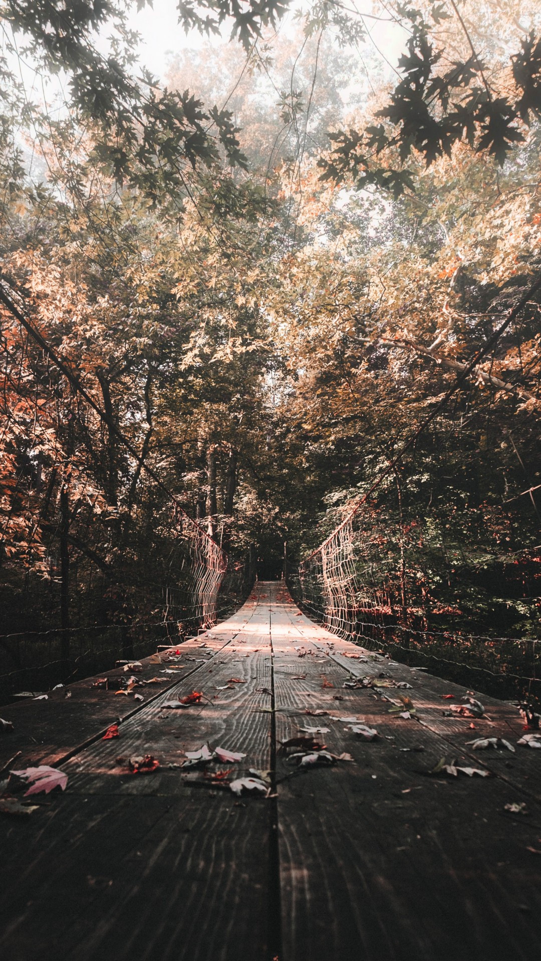 Download 1080x1920 Wooden Bridge, Autumn, Leaves Wallpapers for iPhone 8, iPhone 7 Plus, iPhone 6+, Sony Xperia Z, HTC One