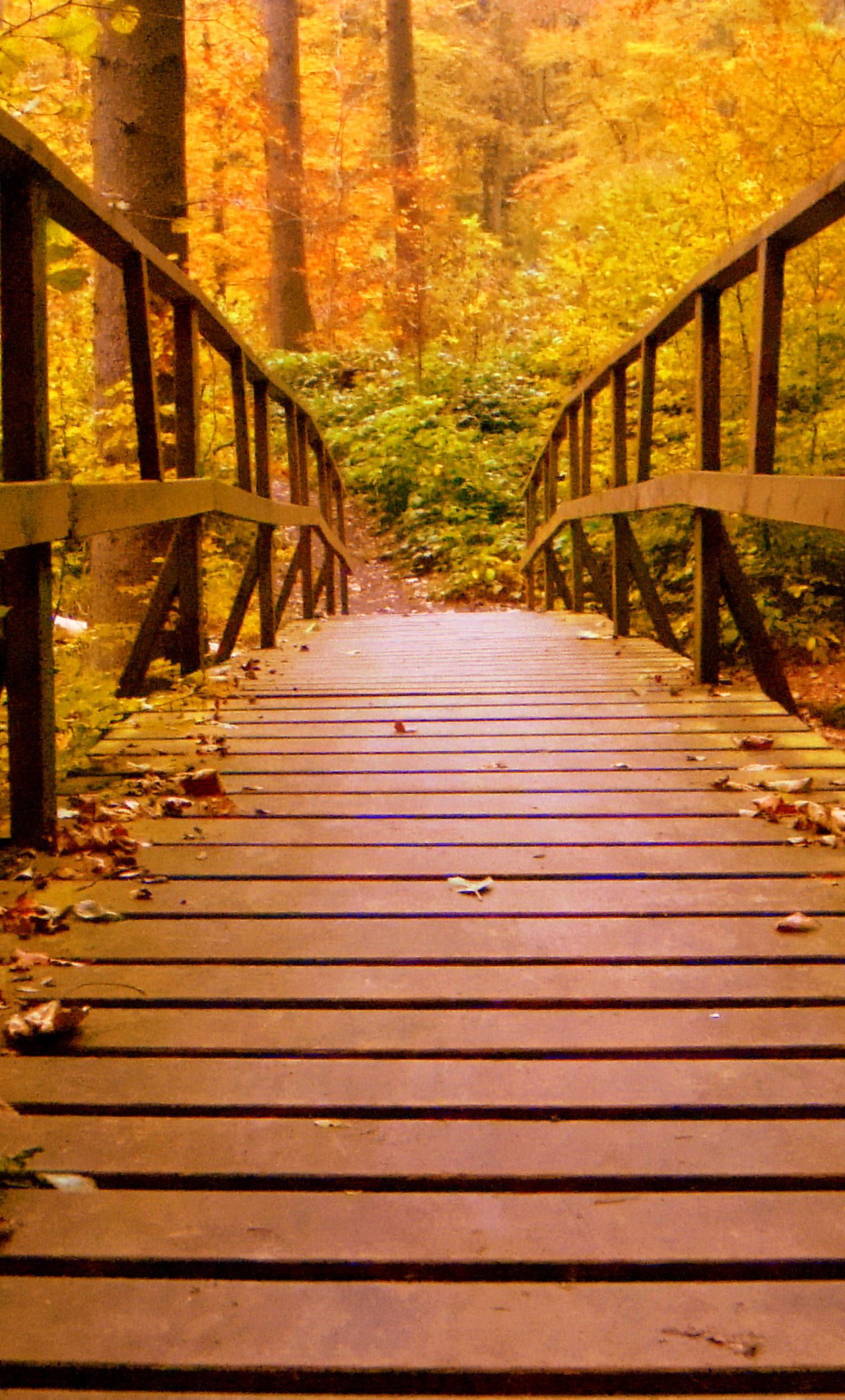 1280x2120 Wooden Bridge Forest Autumn Leaves iPhone 6+ HD 4k Wallpapers, Image, Backgrounds, Photos and Pictures