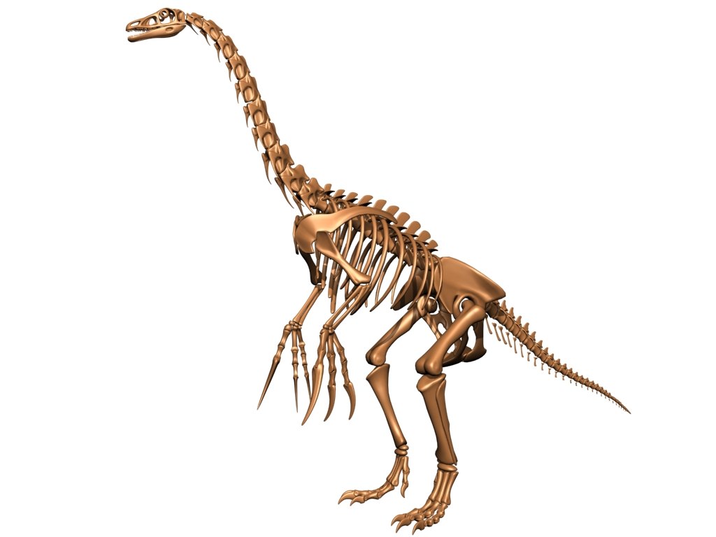 Nothronychus therizinosaurus skeleton bones 3D model