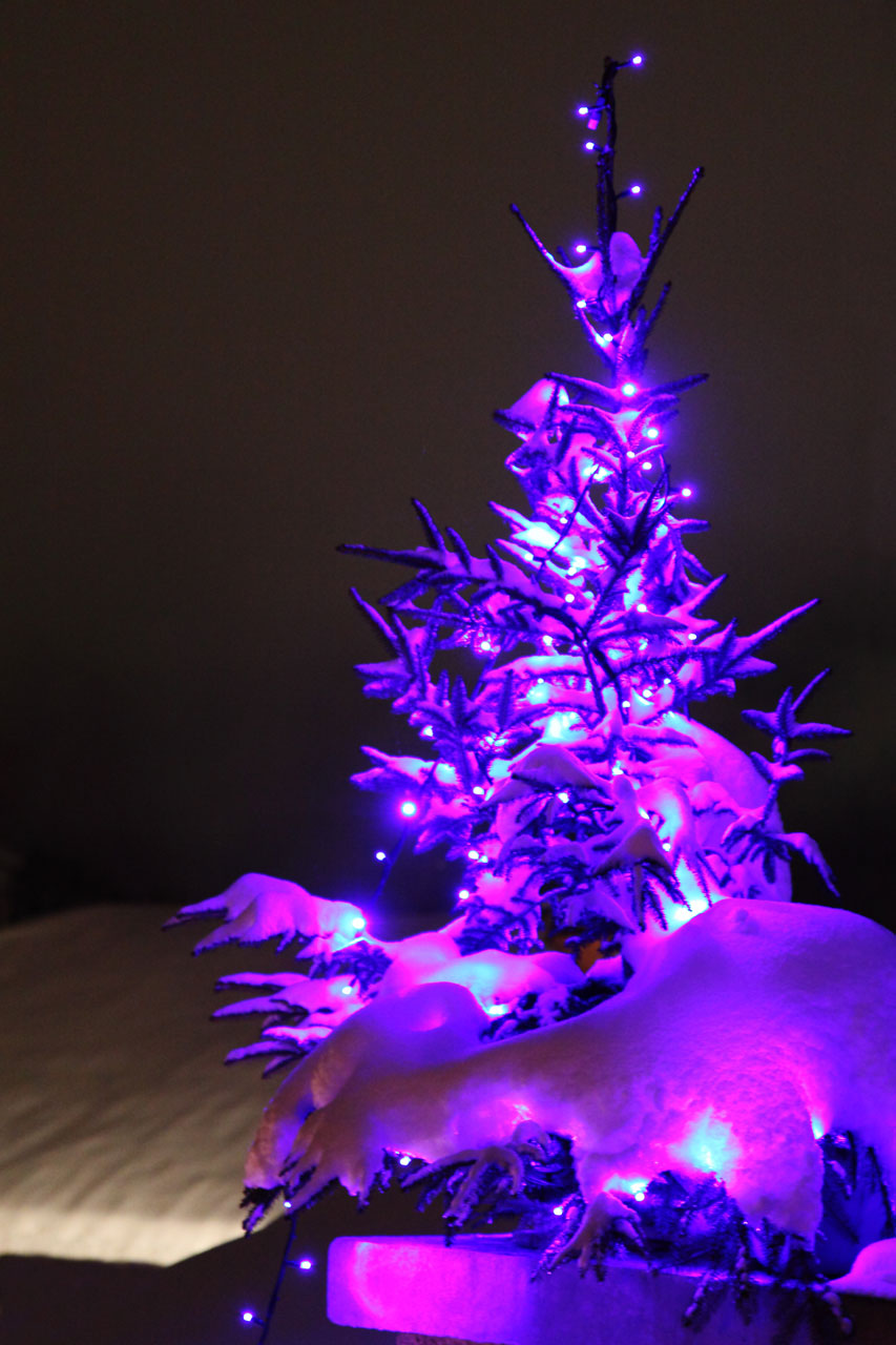 Free download Purple Christmas Tree HD Public Domain Picture [853x1280] for your Desktop, Mobile & Tablet. Explore Purple Tree Wallpaper. Wallpaper with Trees, HD Tree Wallpaper