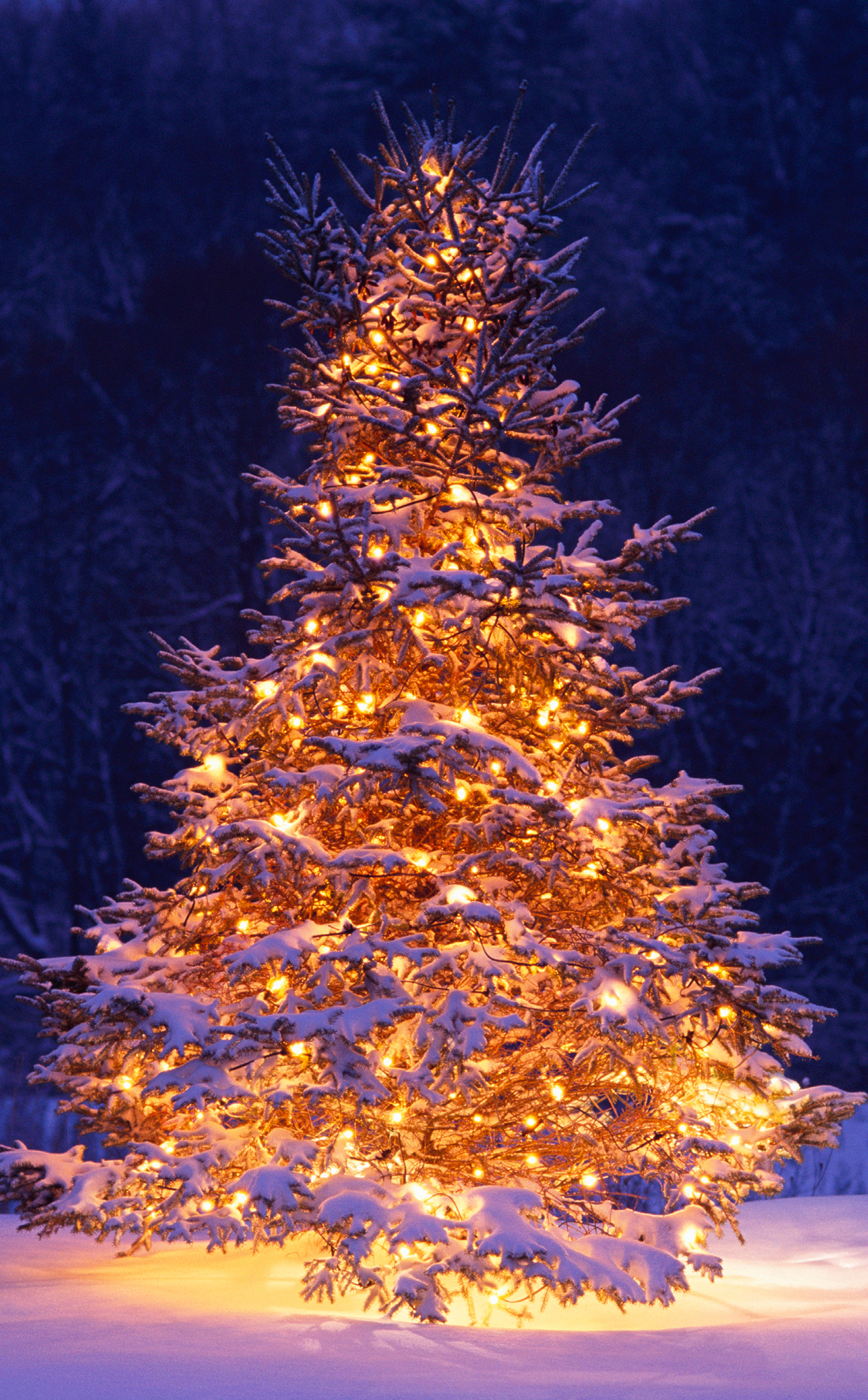 Aesthetic Christmas Wallpaper For Phones