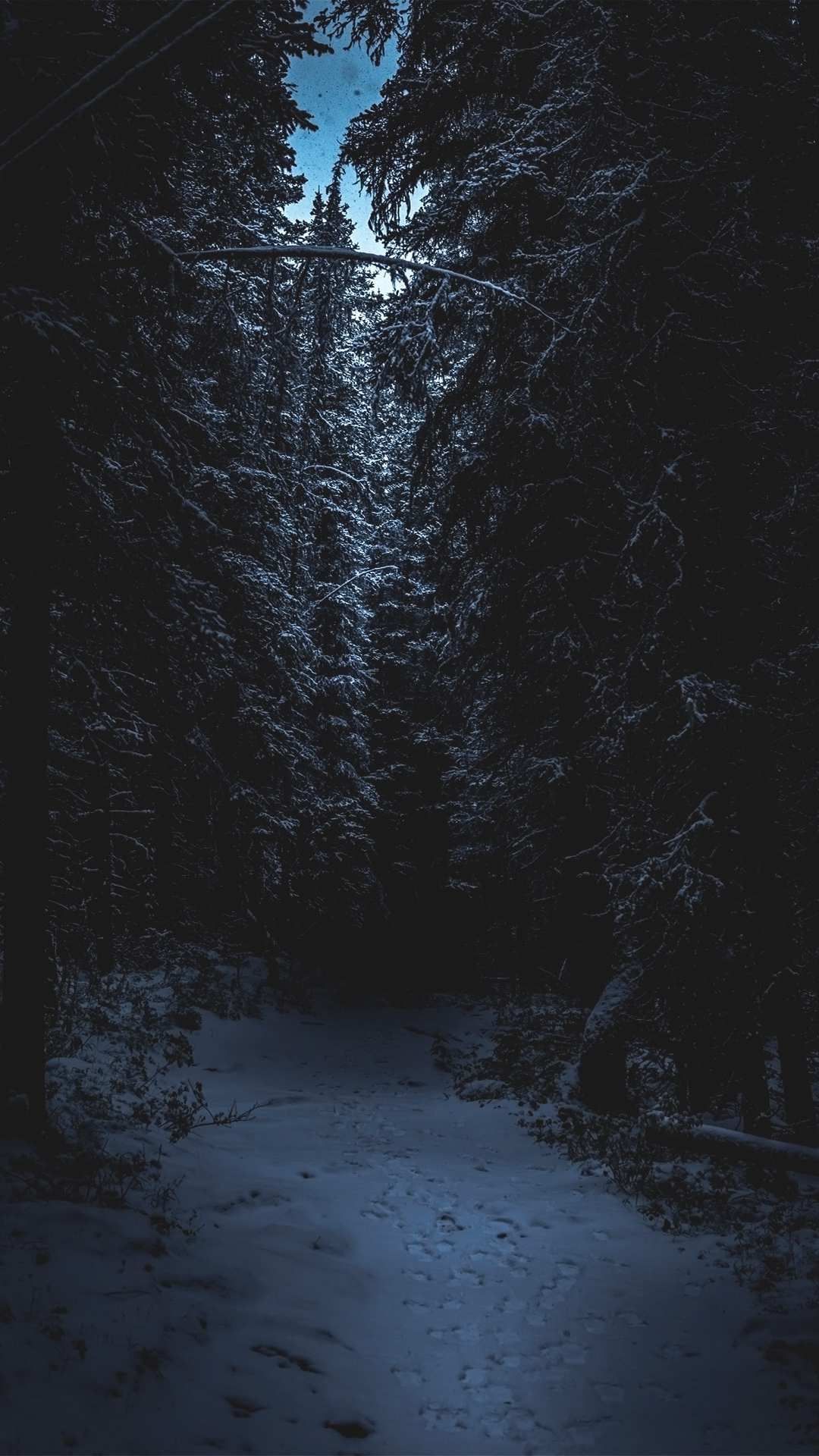 Dark Winter Night Wallpaper