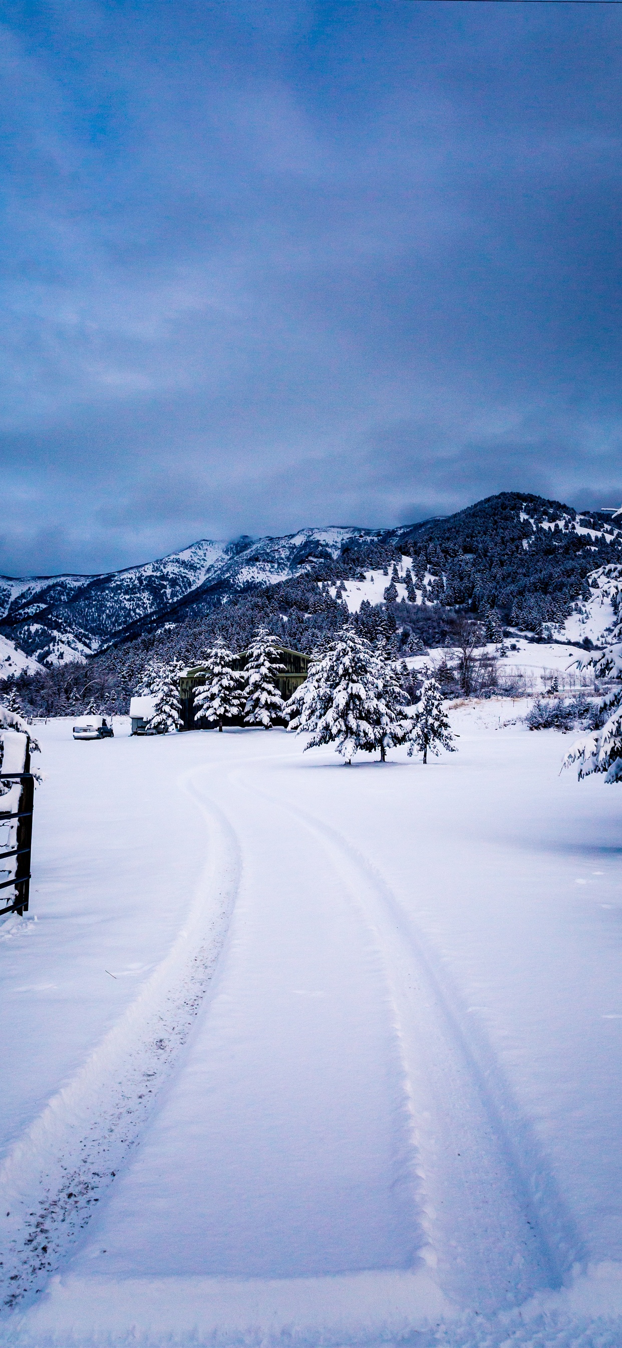 Winter Wallpaper iPhone Xs Max
