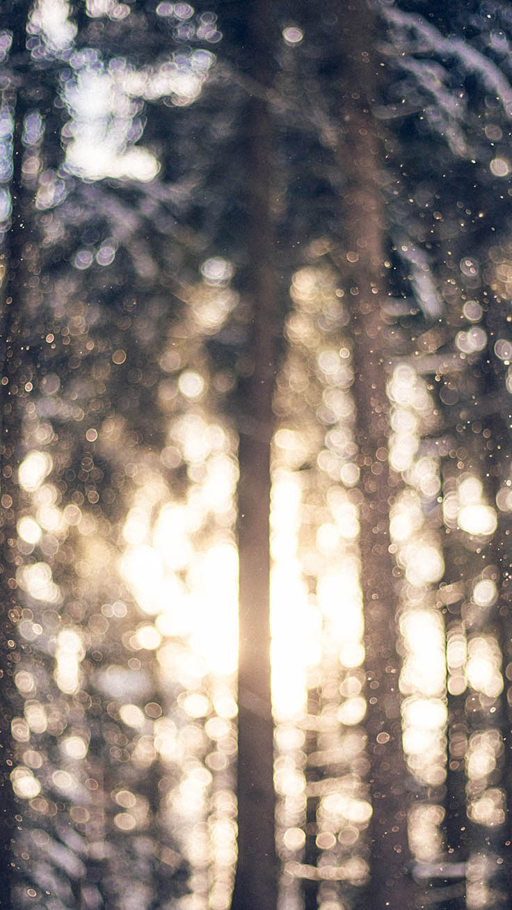 x Winter Landscapes iPhone Wallpaper Collection