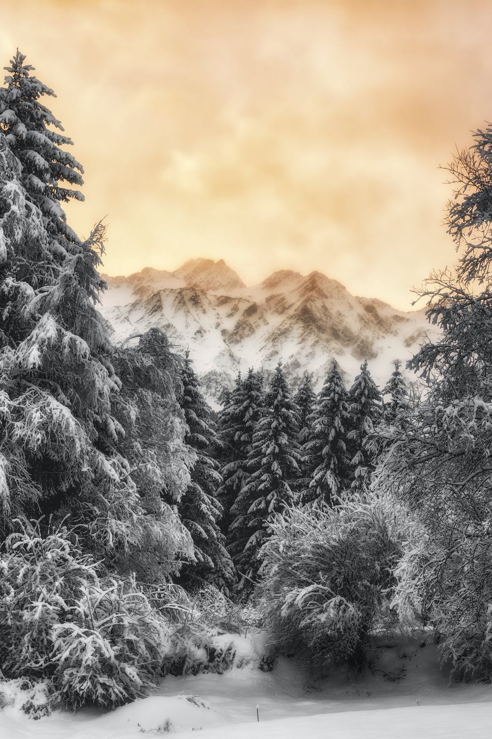 Free Beautiful Winter Wallpaper For iPhone That You'll Love
