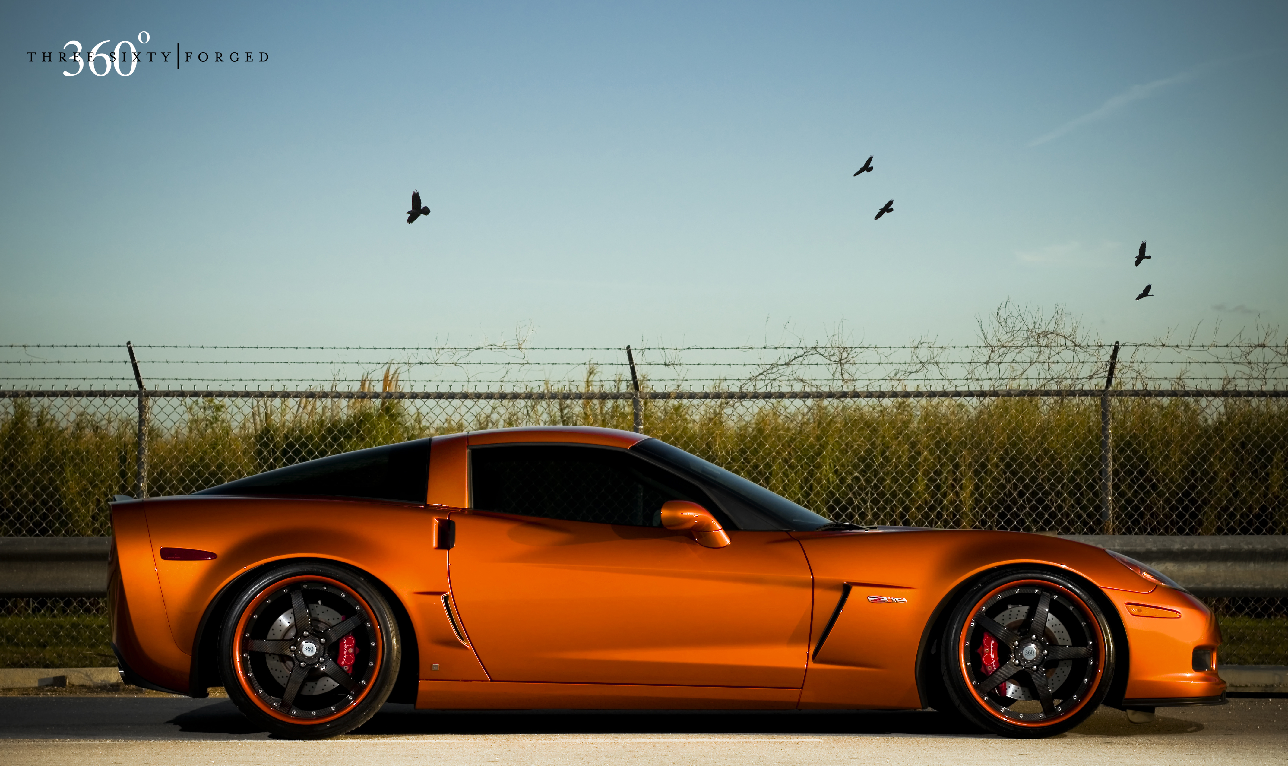 atomic, Orange, Corvette, Z On, Forged, Cf, Straight Wallpaper HD / Desktop and Mobile Background
