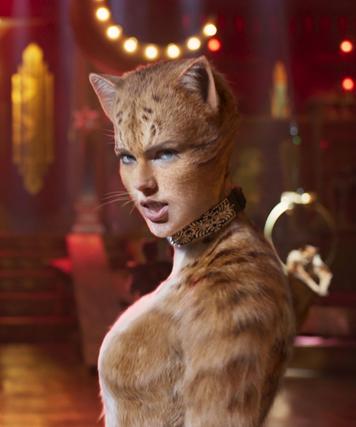 How Many Lines Does Taylor Swift Have In Cats?