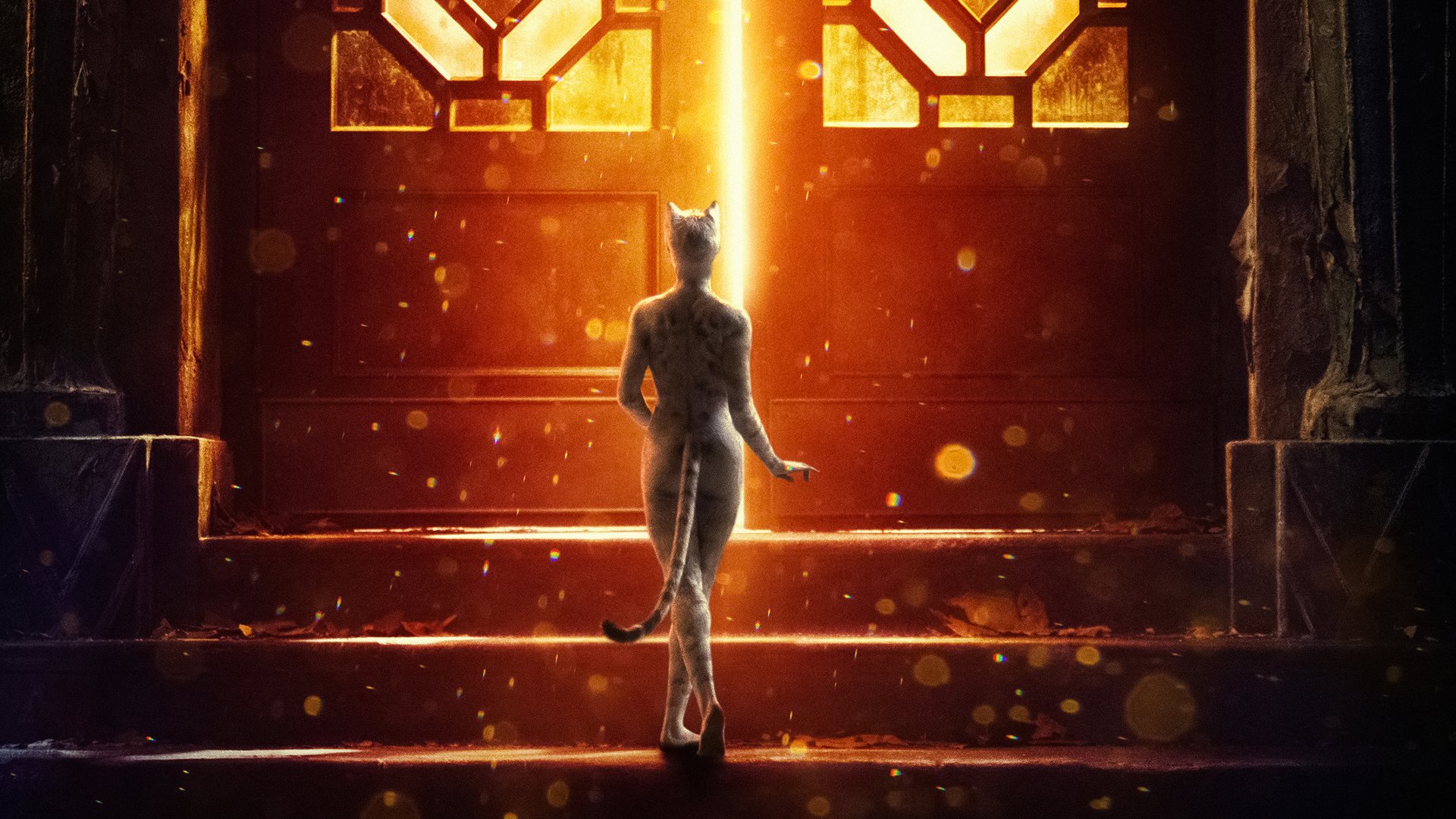 Cats (2019) HD Wallpaper and Background Image