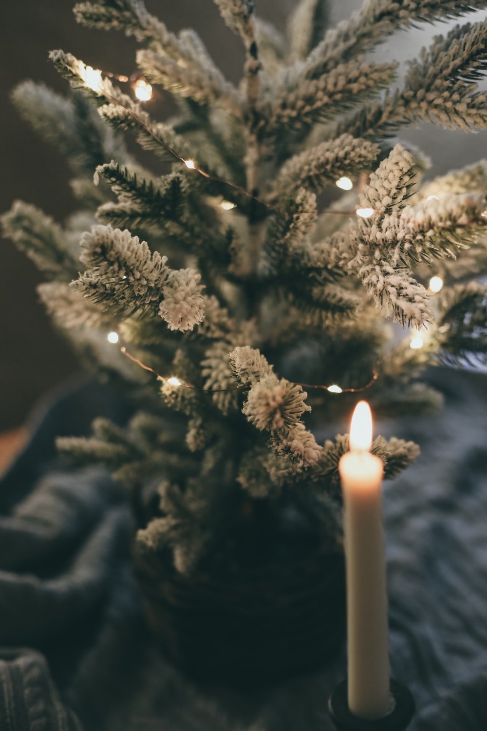 white candle on brown tree photo