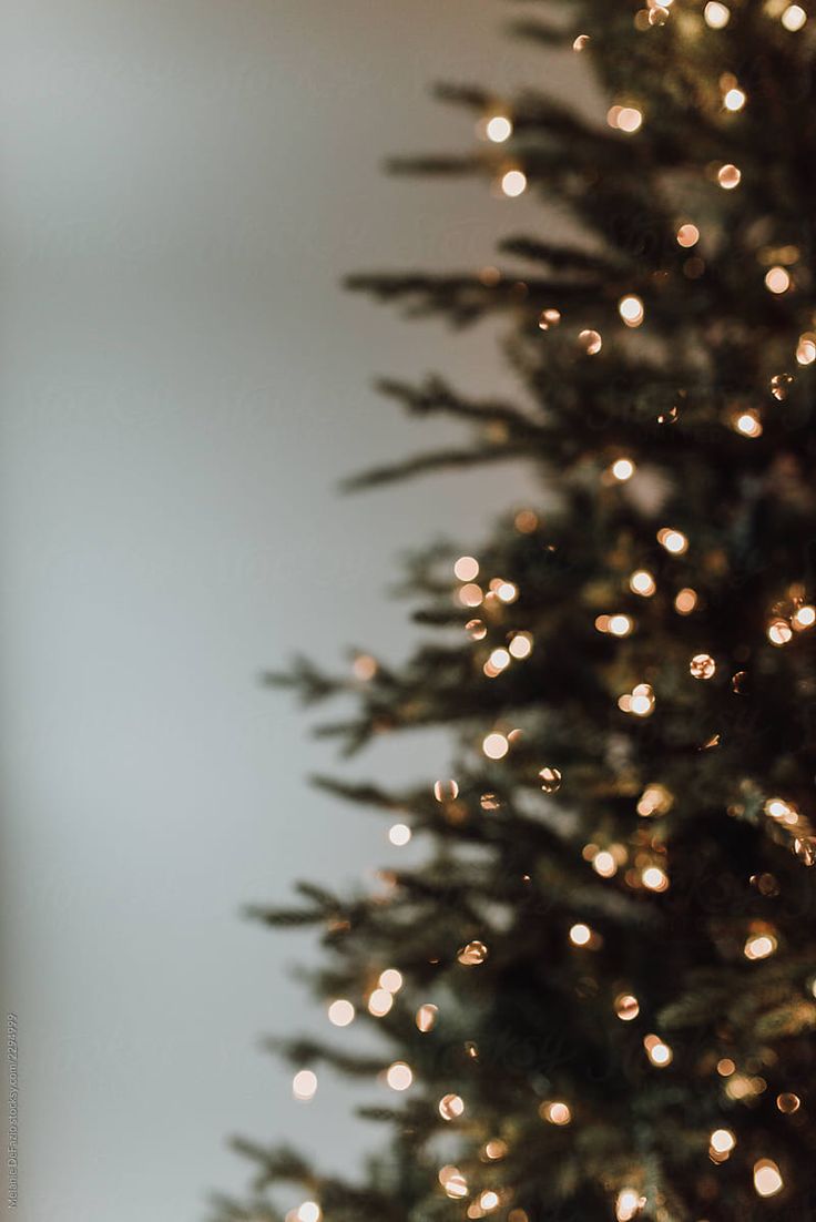 Christmas Tree by Melanie DeFazio. Christmas wallpaper, Wallpaper iphone christmas, Christmas lights wallpaper