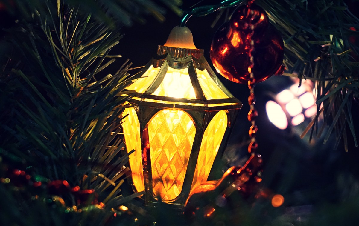 Free Image, christmas decorations, festive, lantern, lighting, christmas decoration, light, christmas lights, event, tradition, night, christmas ornament, holiday, fete, plant, computer wallpaper, christmas tree, darkness, decor 5159x3255