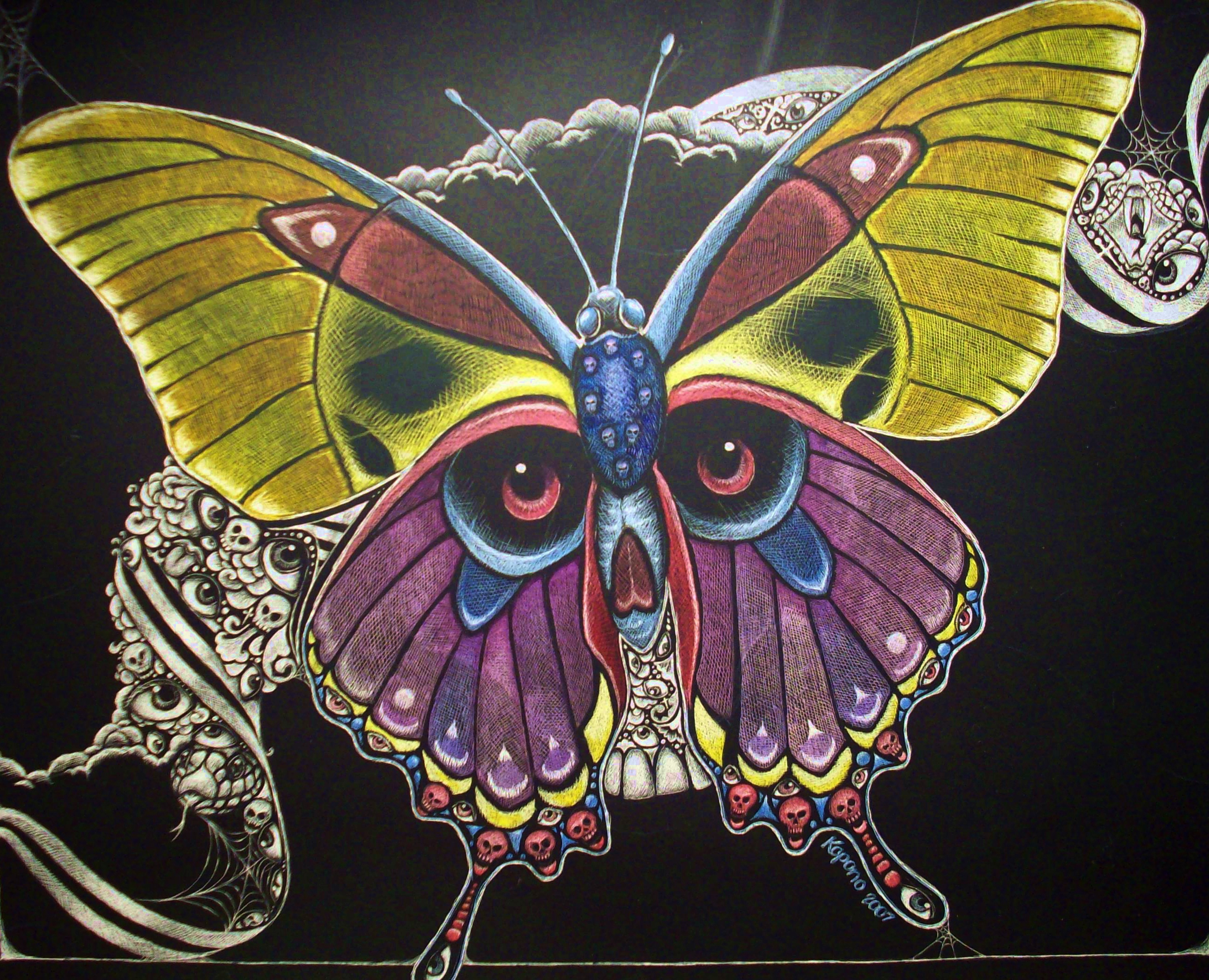 skull hey who has any picture of skulls and butterflies 2604x2111 wallpaper