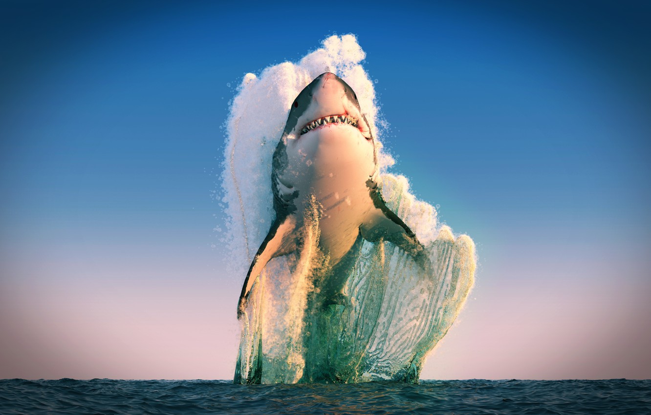 Wallpaper predator, shark, sea, LOMO image for desktop, section животные
