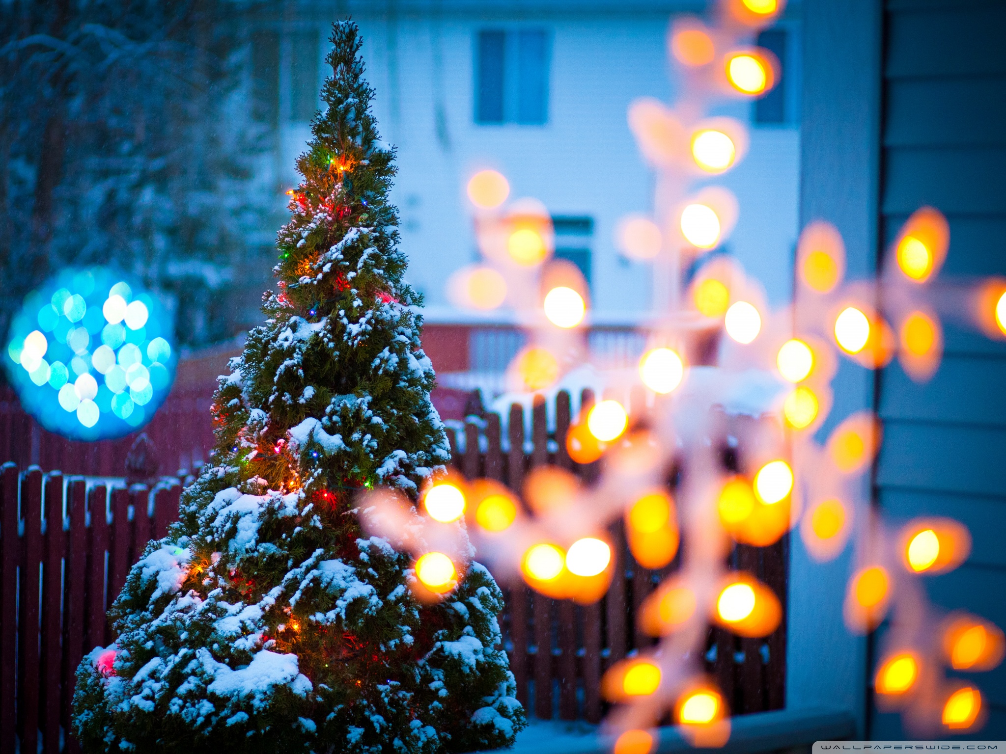 Christmas Eve Ultra HD Desktop Background Wallpaper for 4K UHD TV, Widescreen & UltraWide Desktop & Laptop, Tablet