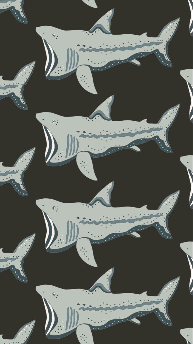 Basking shark by Lindsay Yoshi. Basking shark, Wallpaper, Phone wallpaper