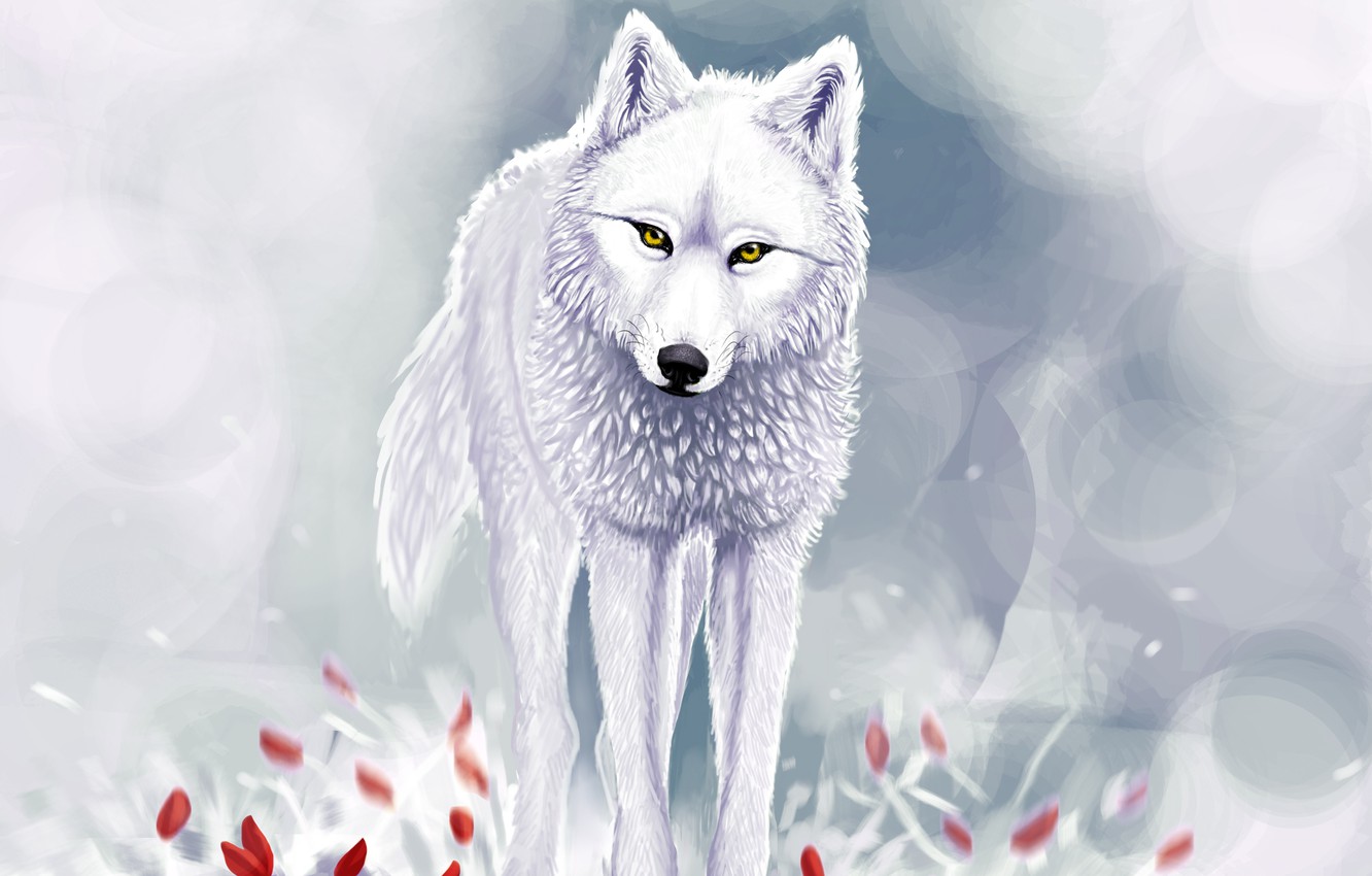 Wallpaper winter, snow, red flowers, White wolf image for desktop, section животные