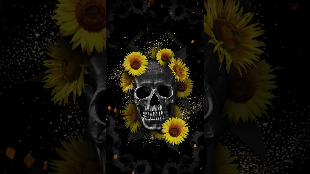 Samsung Theme Live Wallpaper Black Skull Sunflower