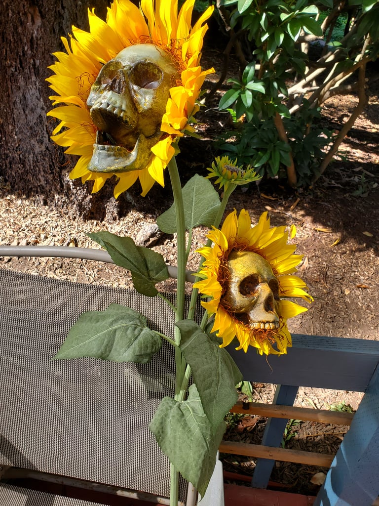 These DIY Sunflower Skulls Practically Scream Halloween