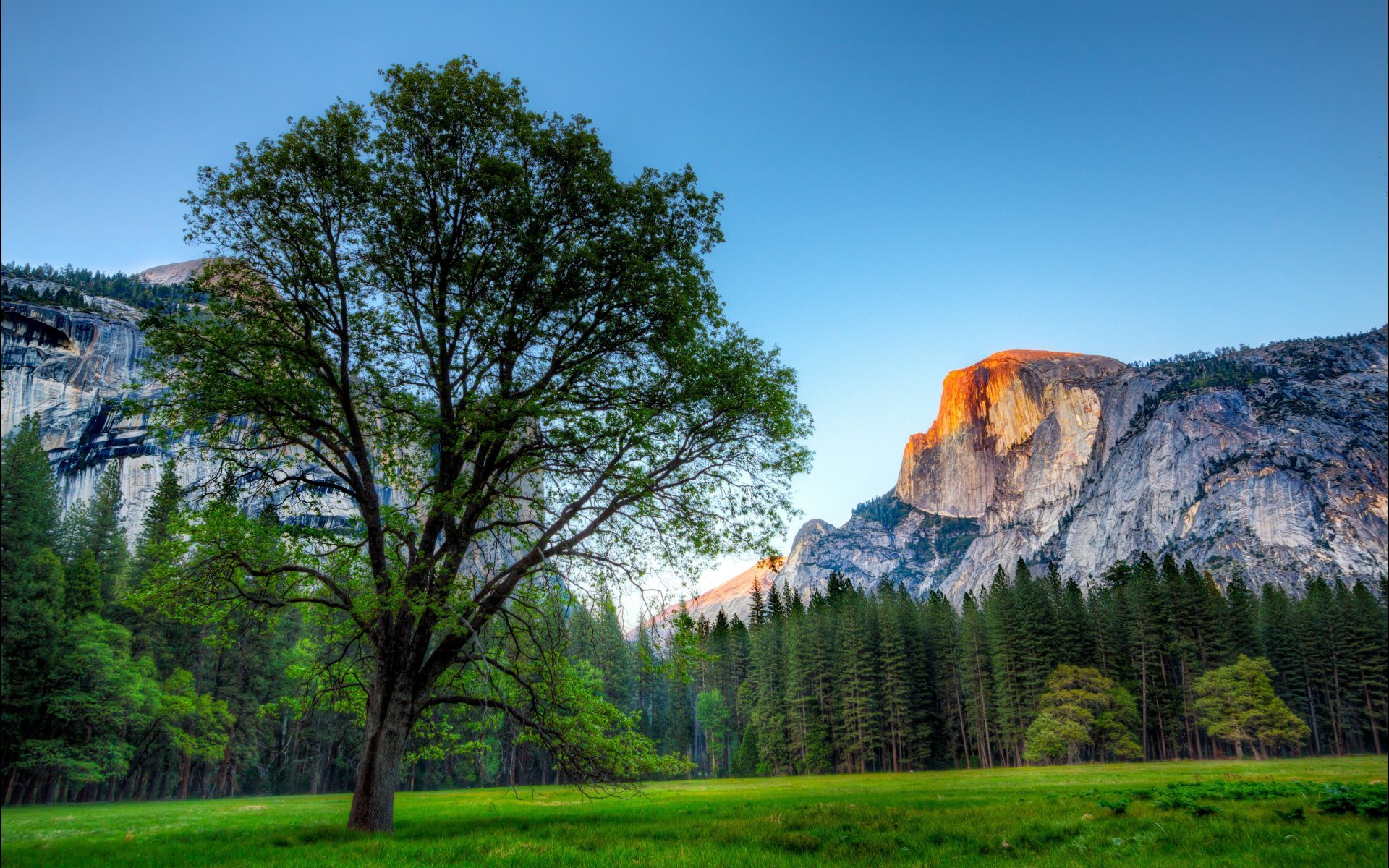 Os X Yosemite Wallpaper HD National Park, Half Dome