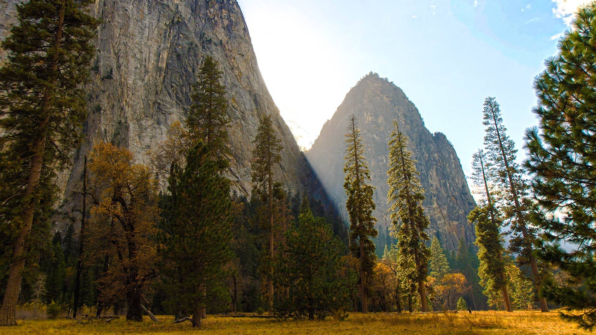 OS X Yosemite Wallpaper