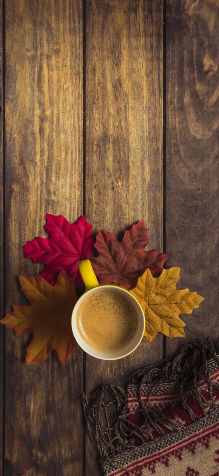 Hd leaves wallpaper leaves photography nature wallpaper nature photography colorful leaves. Coffee wallpaper iphone, Leaf photography, Coffee wallpaper