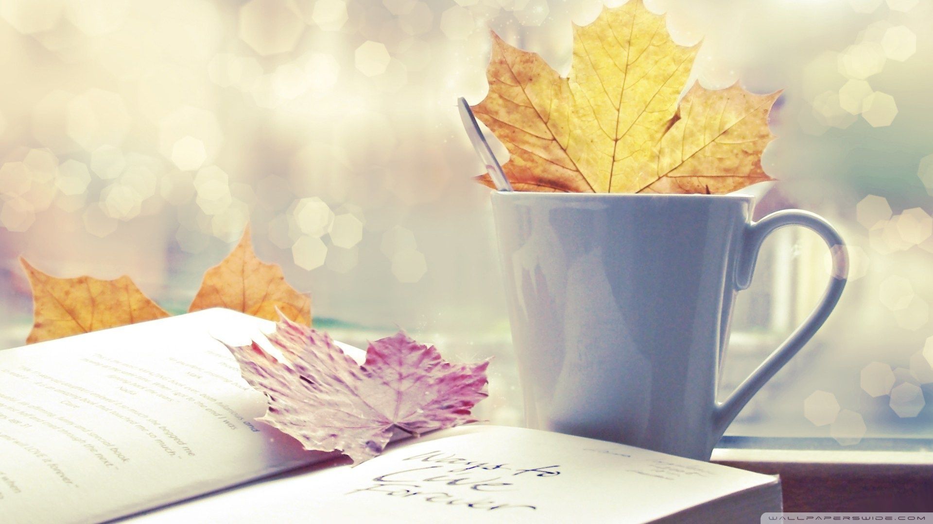 Tea and Book iPhone Wallpaper