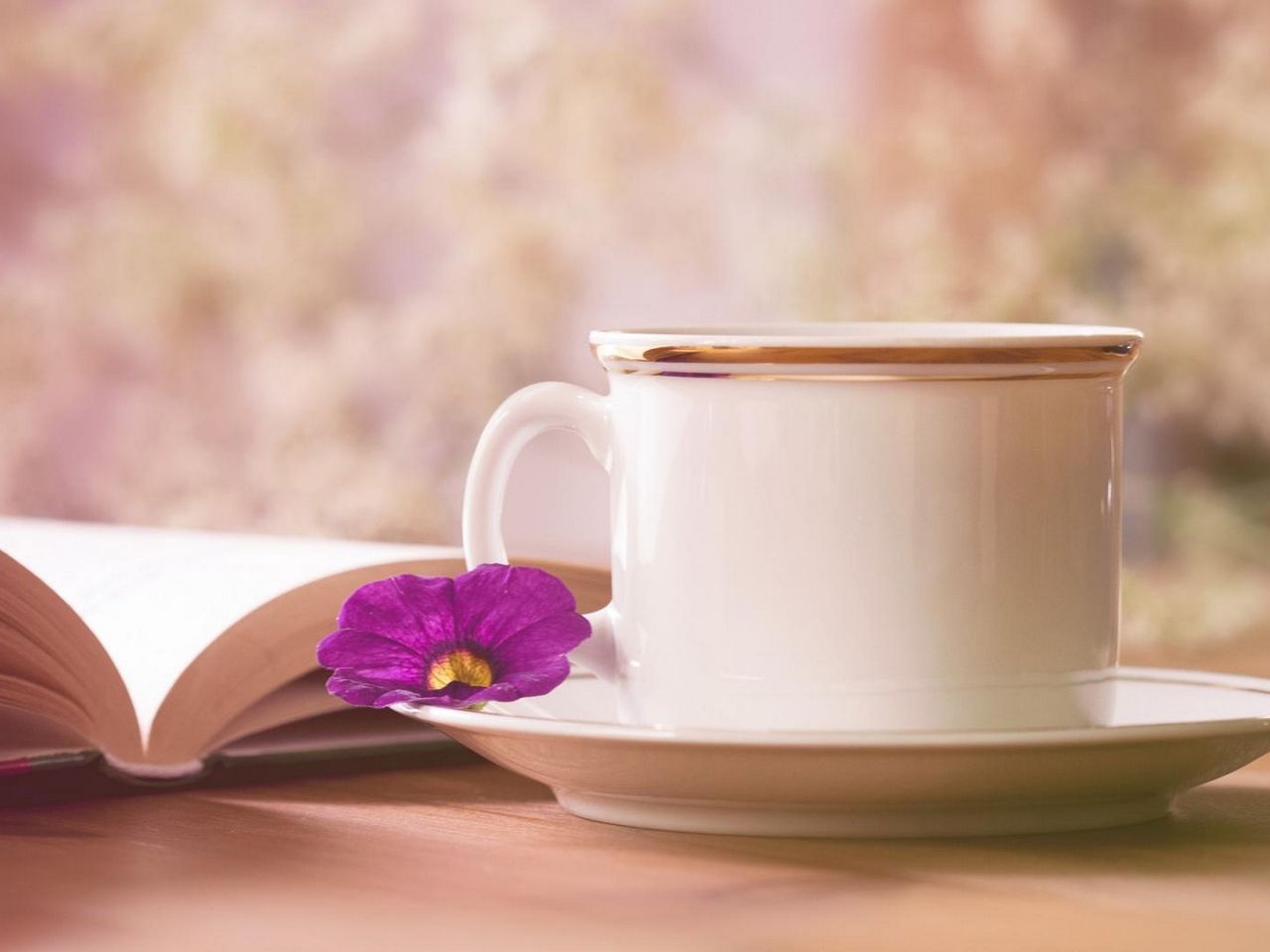 Tea, Book and Flowers Wallpaper, HD Tea, Book and Flowers Background on WallpaperBat