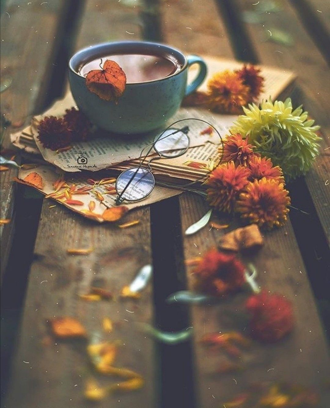 Fall Coffee Wallpaper