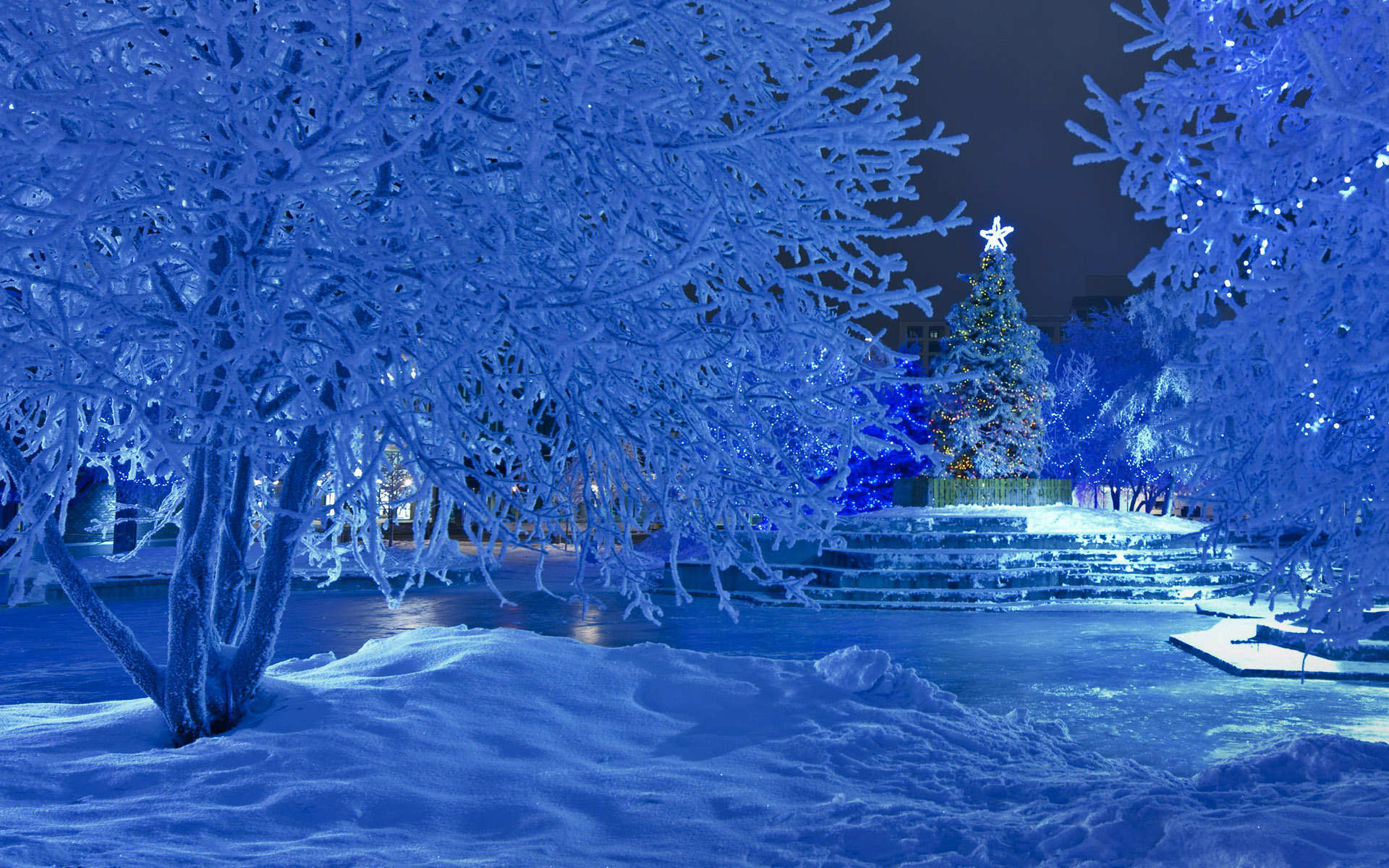 Winter Night at Christmas time HD Wallpaper