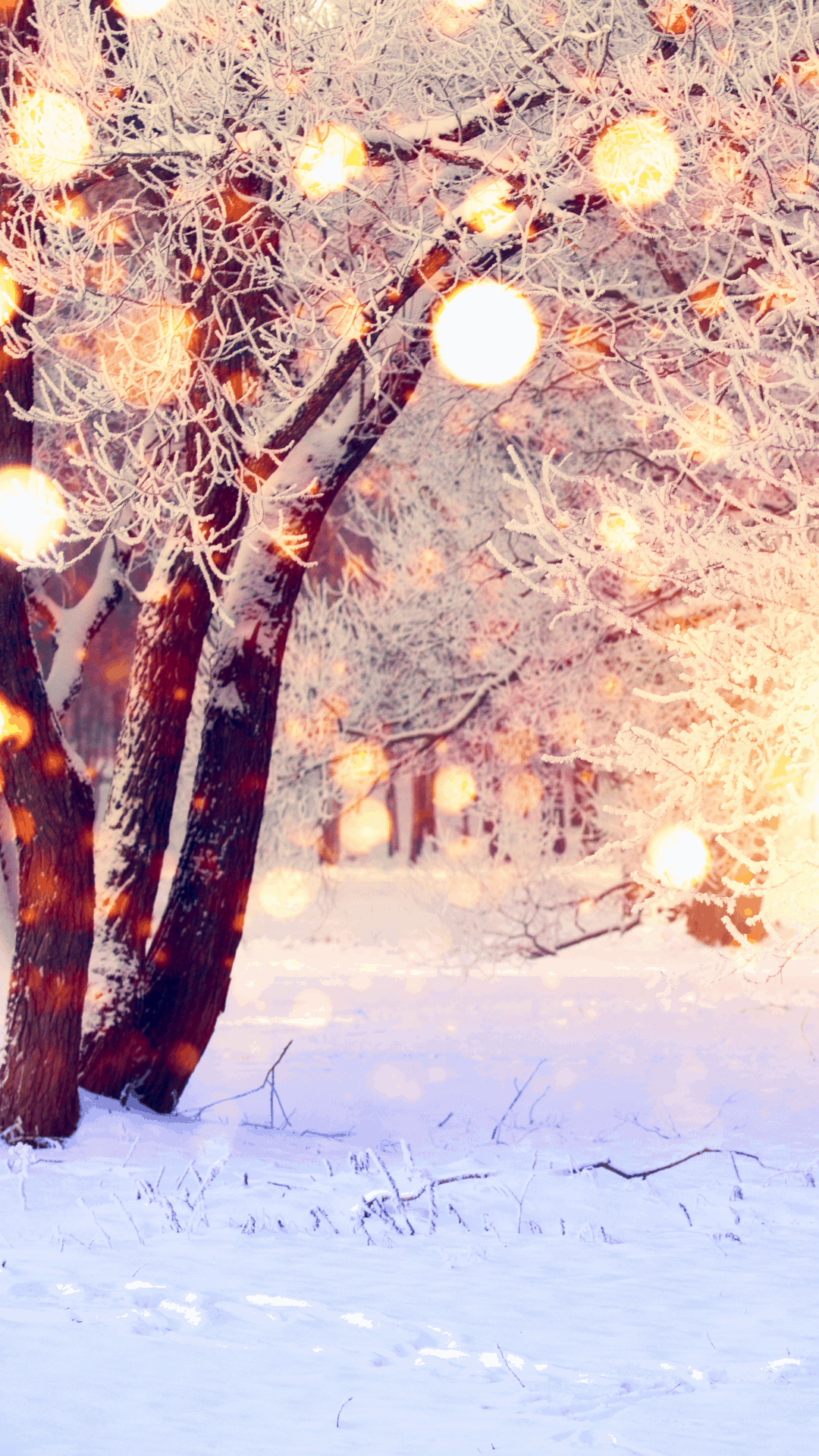 Christmas iPhone Wallpaper: Free Xmas Background to Download!