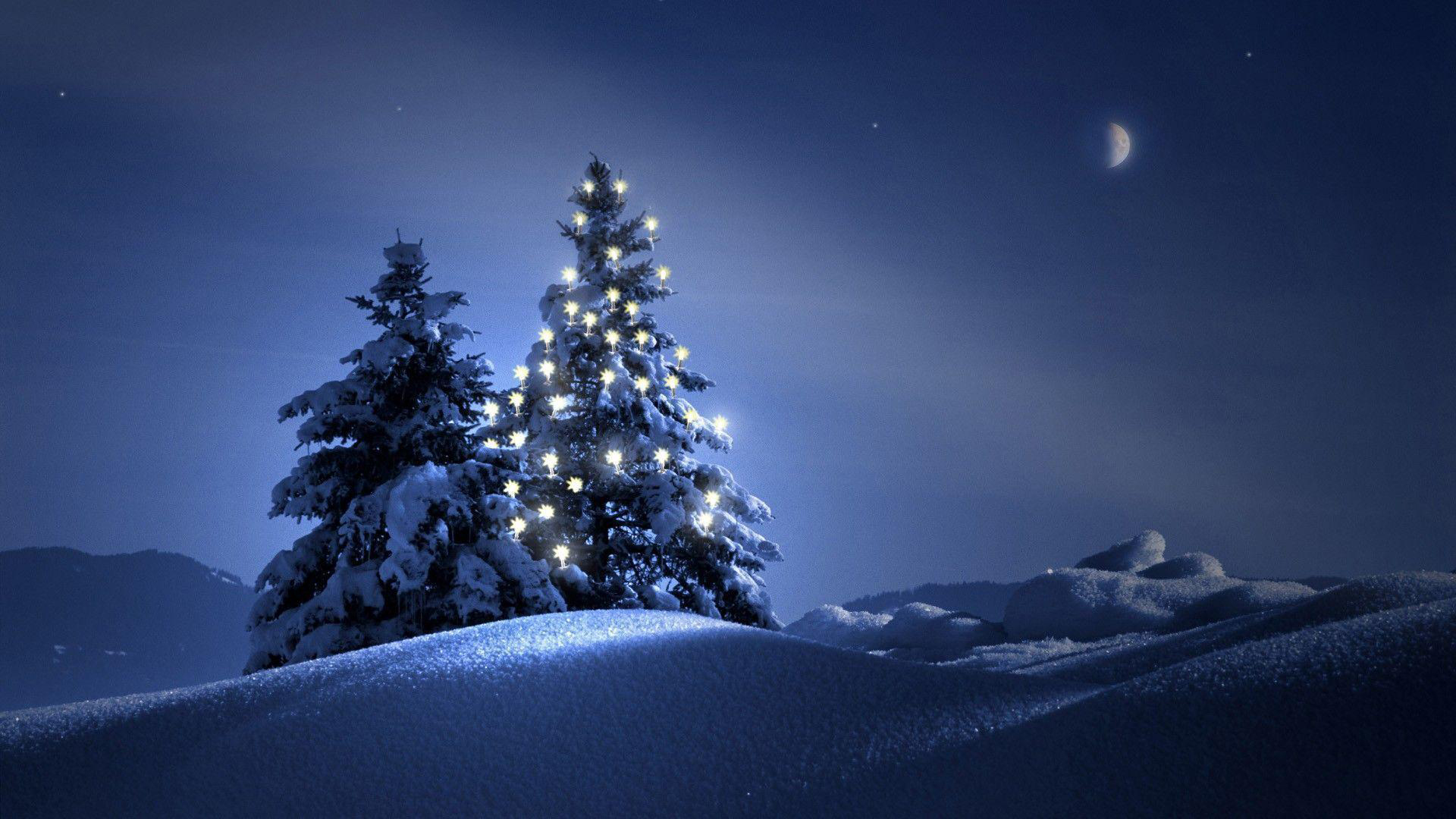 Christmas Tree With Lights In Snow Field During Nighttime HD Christmas Tree Wallpaper