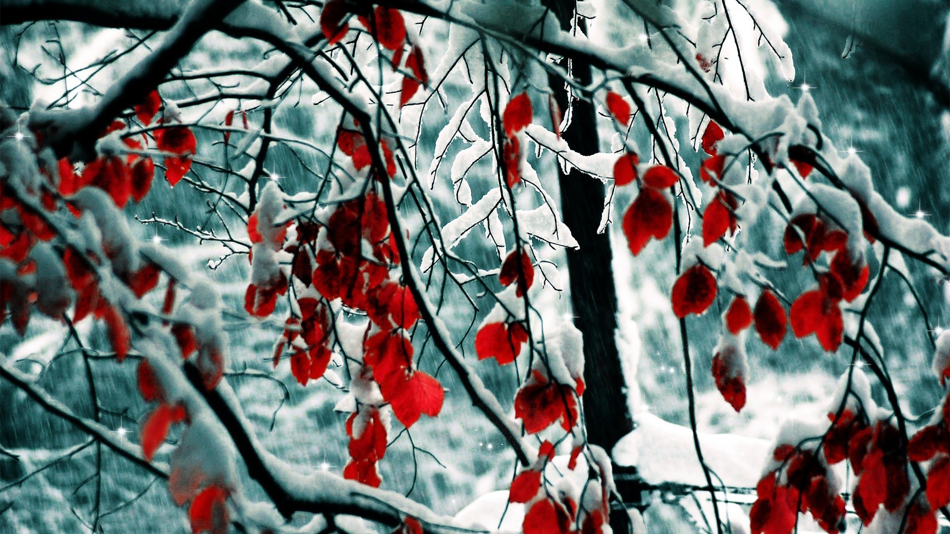Wallpaper, trees, leaves, red, snow, winter, branch, ice, spring, Freezing, tree, leaf, flower, weather, plant, season 1920x1080