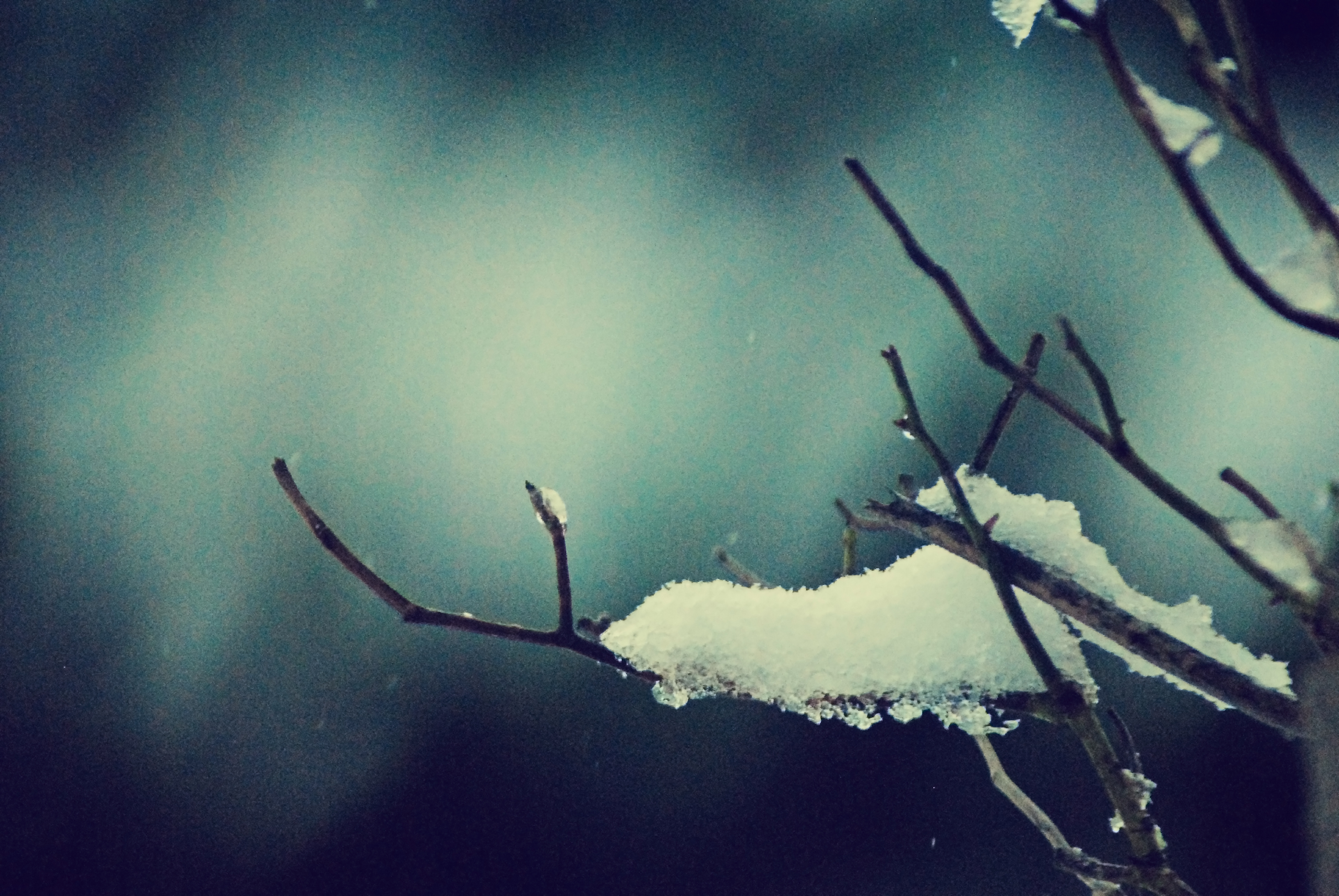 Wallpaper, sunlight, white, dark, water, sky, snow, winter, branch, blue, ice, cold, frost, Tone, brown, underwater, Nikon, UK, Freezing, tree, weather, mood, photo, snowy, branches, young, frosty, d3000, twig, computer wallpaper