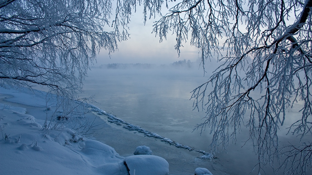 Wallpaper Ice Winter Nature river Branches
