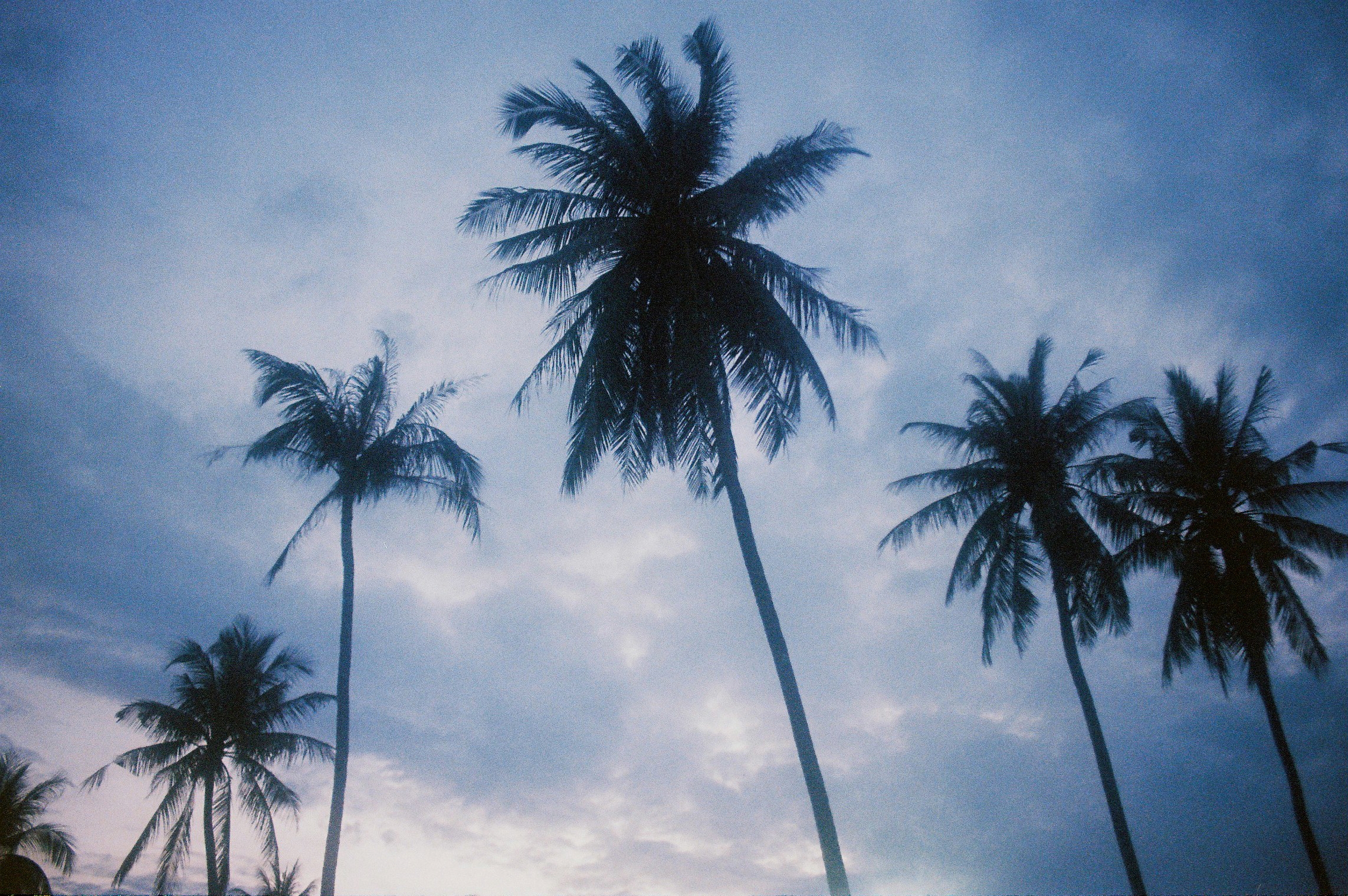 Wallpaper, anxiety, fear, sunset, light, blue, palms, palm, Thailand, koh, samui, island, simple, beauty, sea, seaside, sky, clouds, 35MM, film, rullino, Kodak, ultramax, 400, analog, analogue 2285x1519