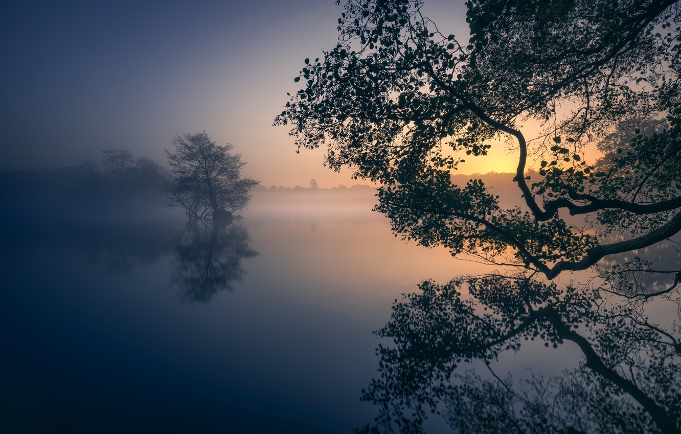 Wallpaper trees, fog, lake, Park, reflection, dawn, England, London, morning, London, England, Richmond Park, Richmond Park, Pen Ponds, Pen Ponds, London Borough of Richmond upon Thames image for desktop, section пейзажи