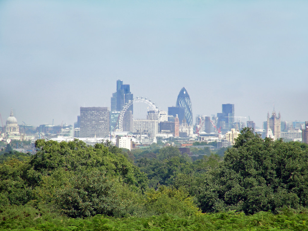 A Famous View of London from Sawyer's Hill in Richmond Par