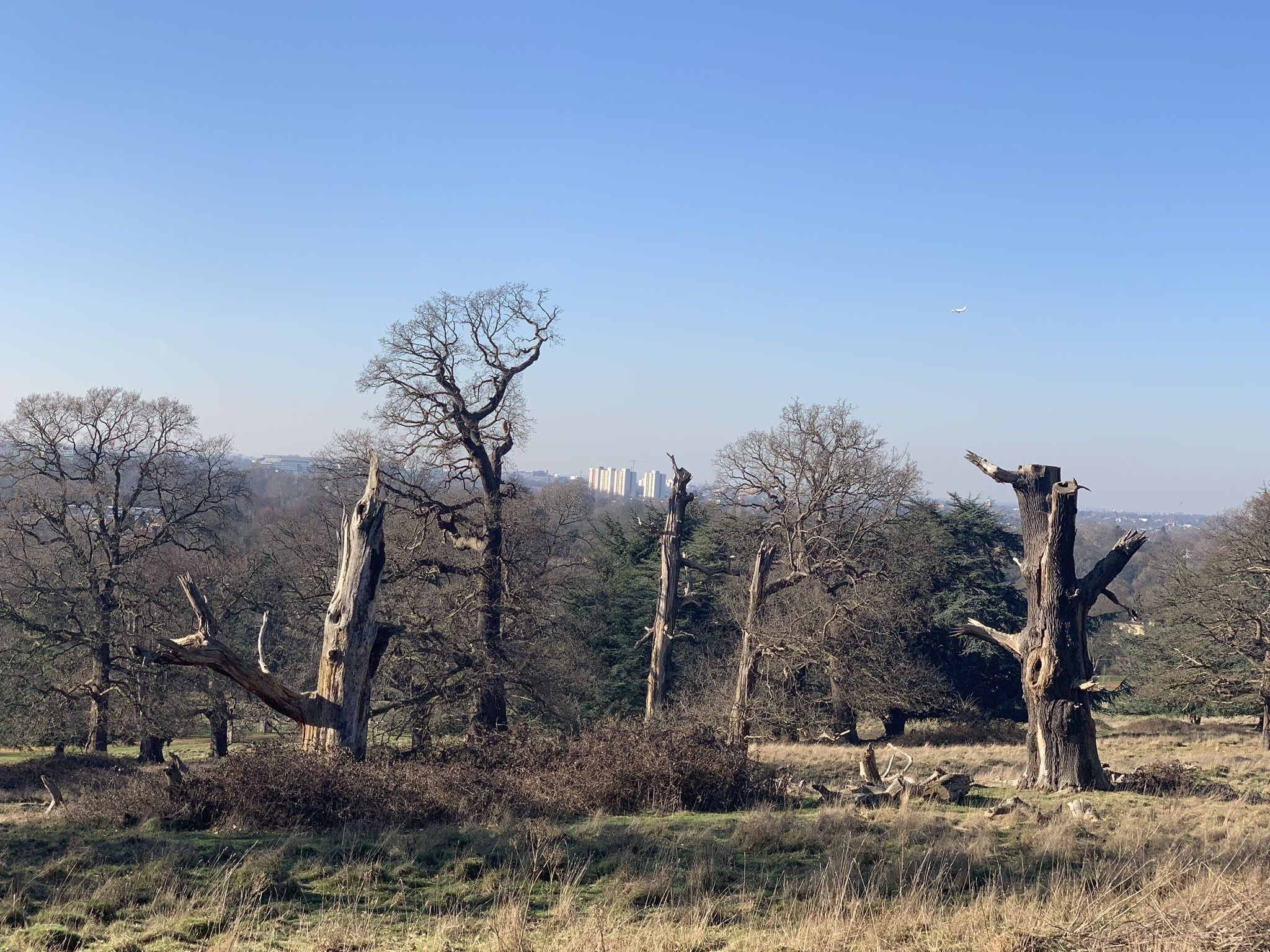 Photos of Richmond Park, London, England trails