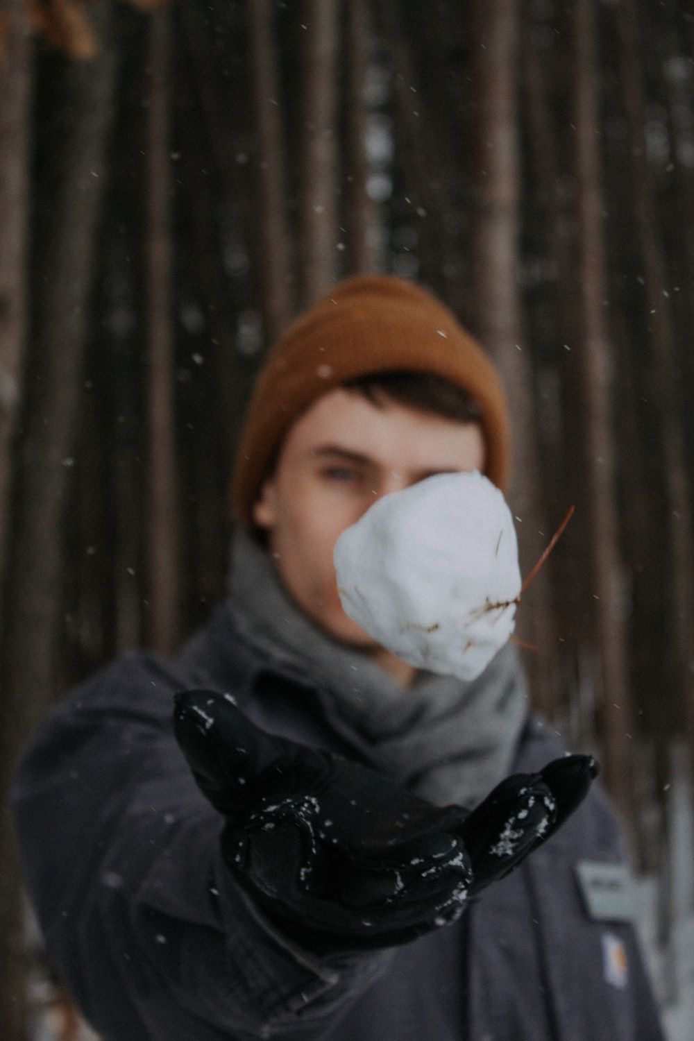 Snowball Fight Picture. Download Free Image