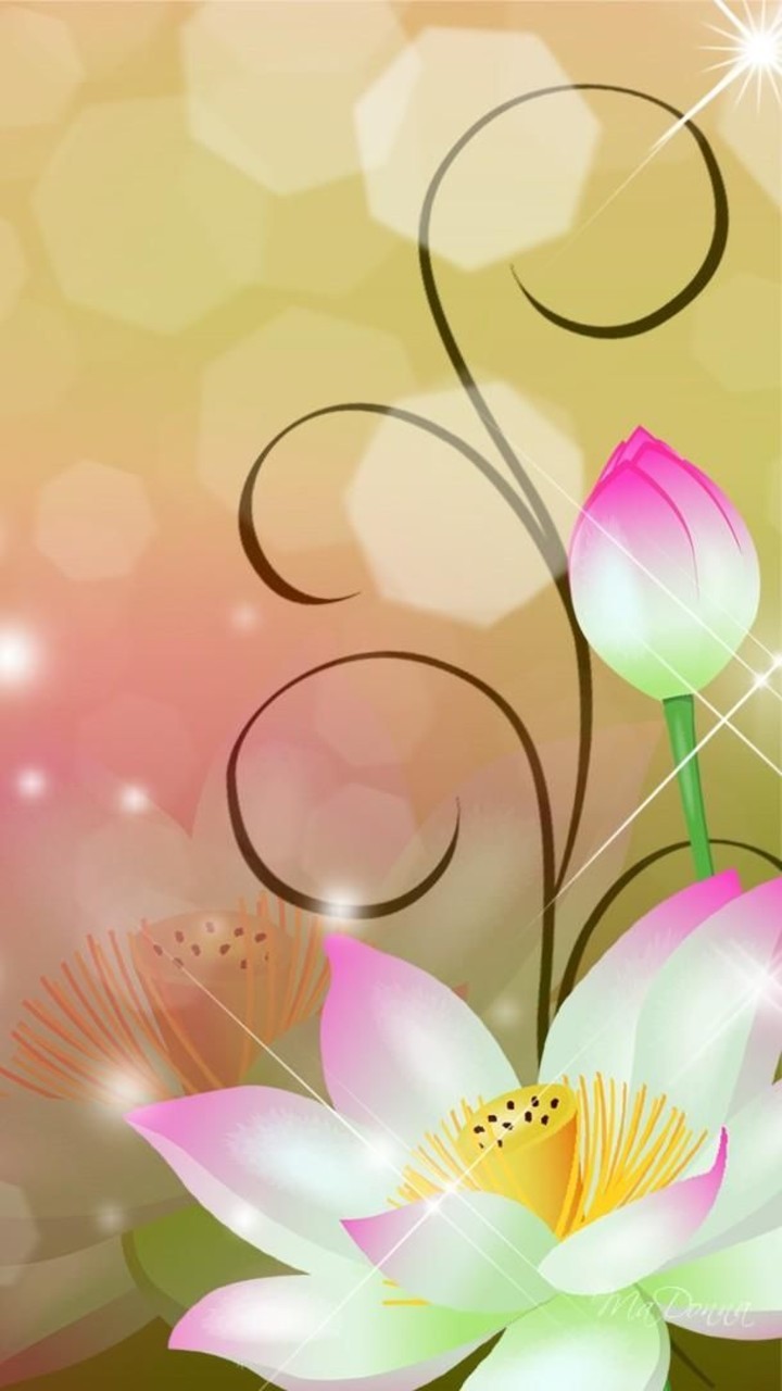 Colorful Flowers 720X1280 iPhone Art Wallpaper