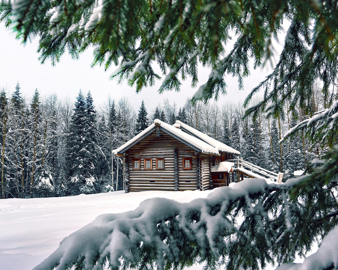 Wallpaper Winter, snow, pine trees, wood house 2560x1600 HD Picture, Image