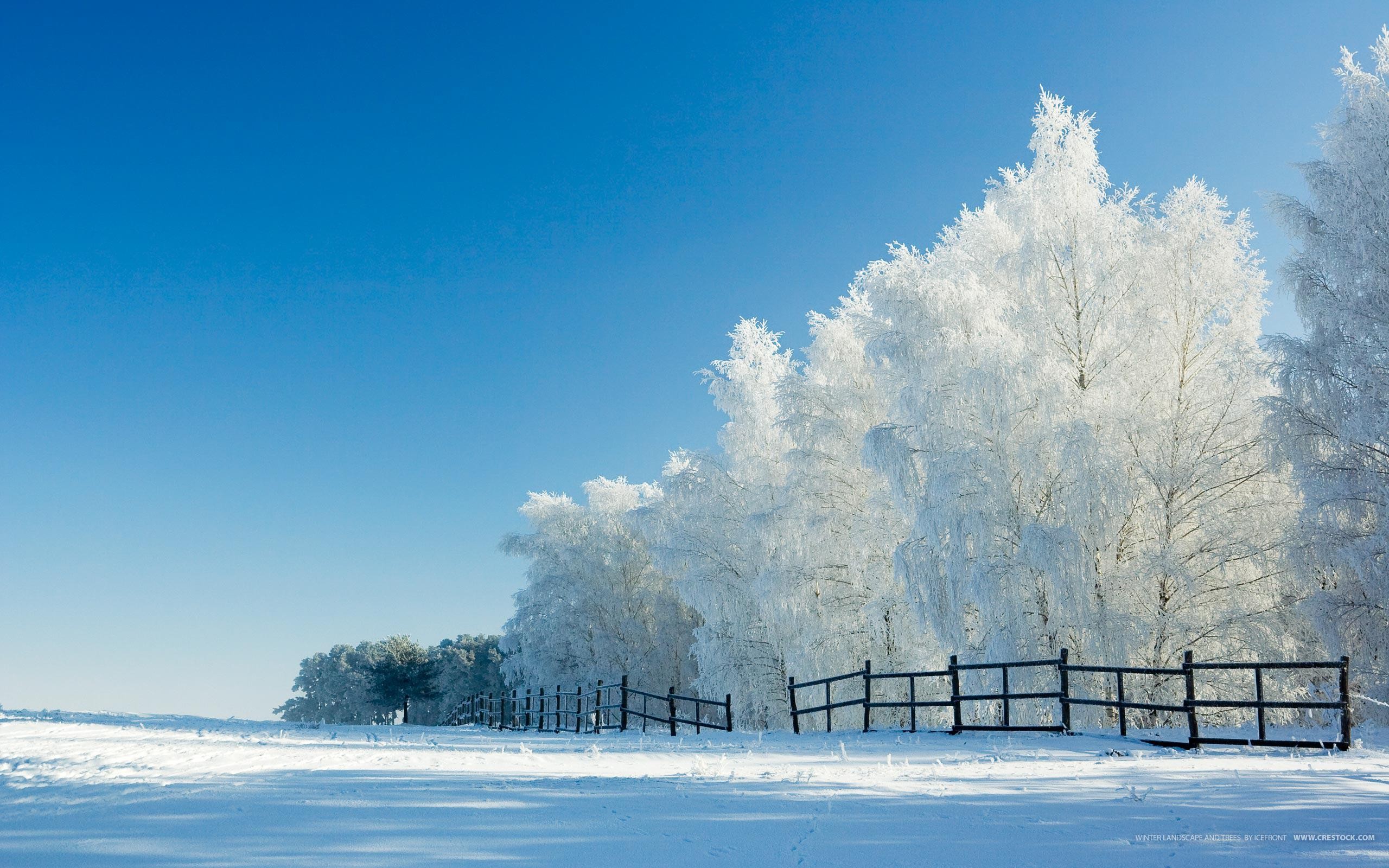 Free photo: Winter View, Landscape, Nature