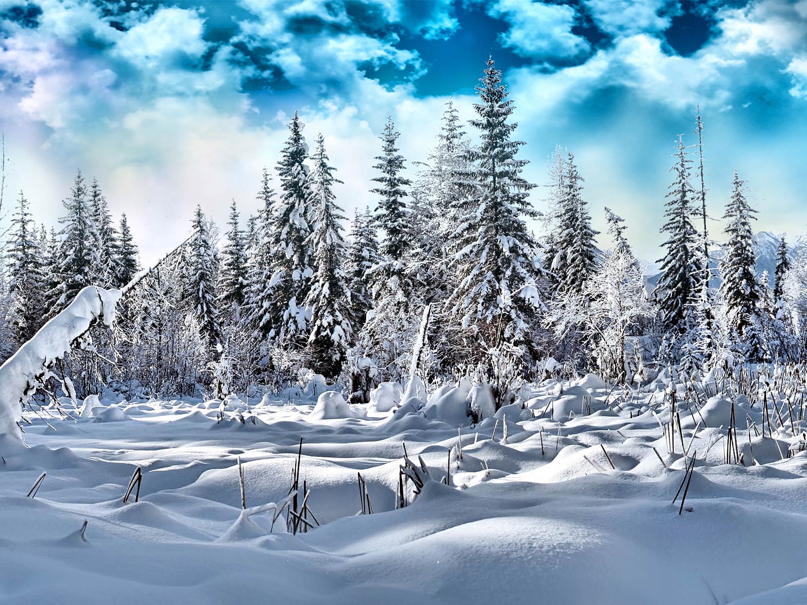 Winter Wallpaper and Background Imagex1200