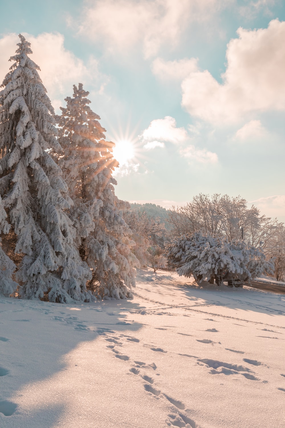 Winter Landscape Picture [Stunning!]. Download Free Image