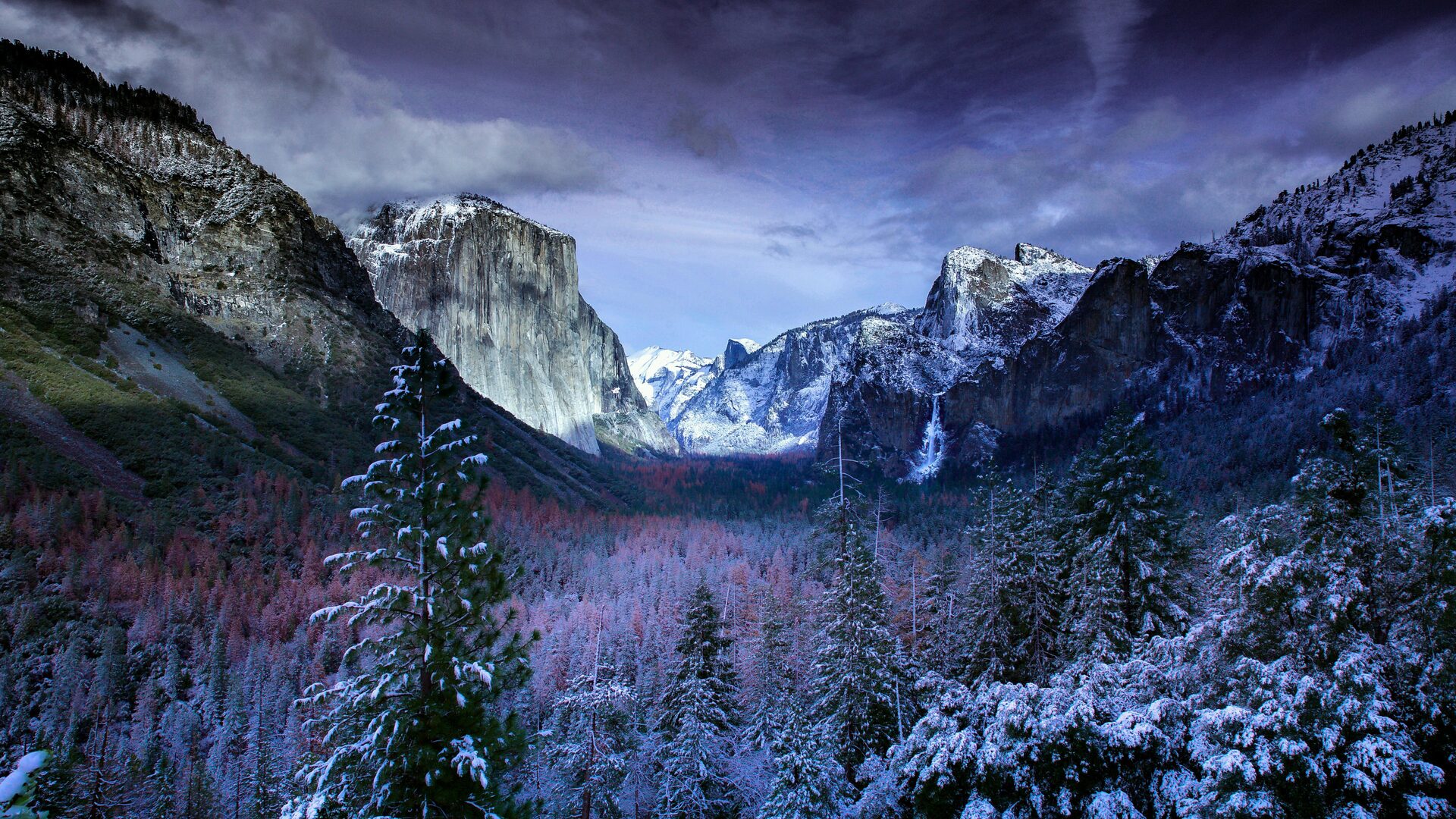 Winter Trees Mountains 5k Laptop Full HD 1080P HD 4k Wallpaper, Image, Background, Photo and Picture