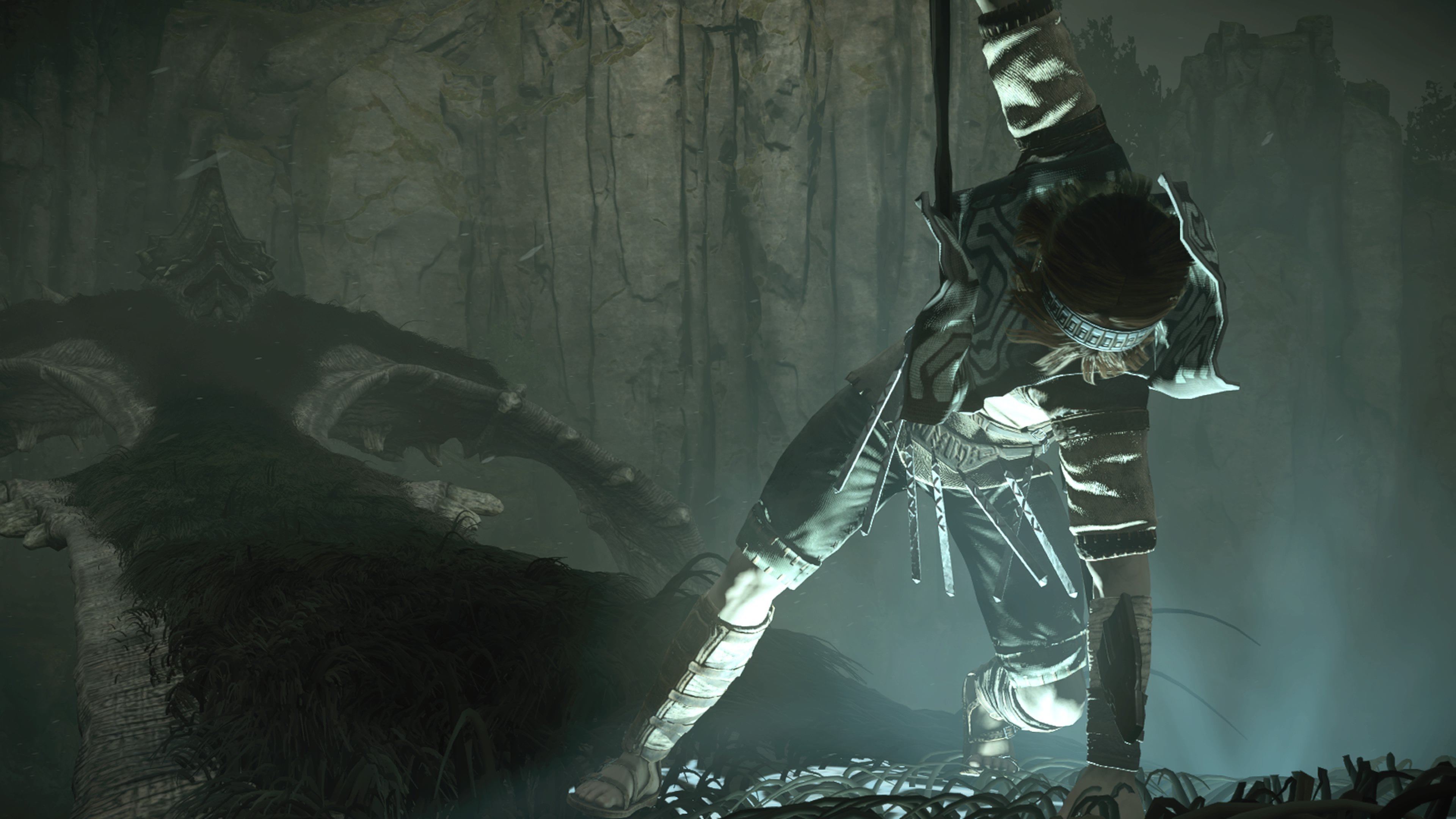 Wallpaper Shadow of the Colossus screenshot, 4k, Games