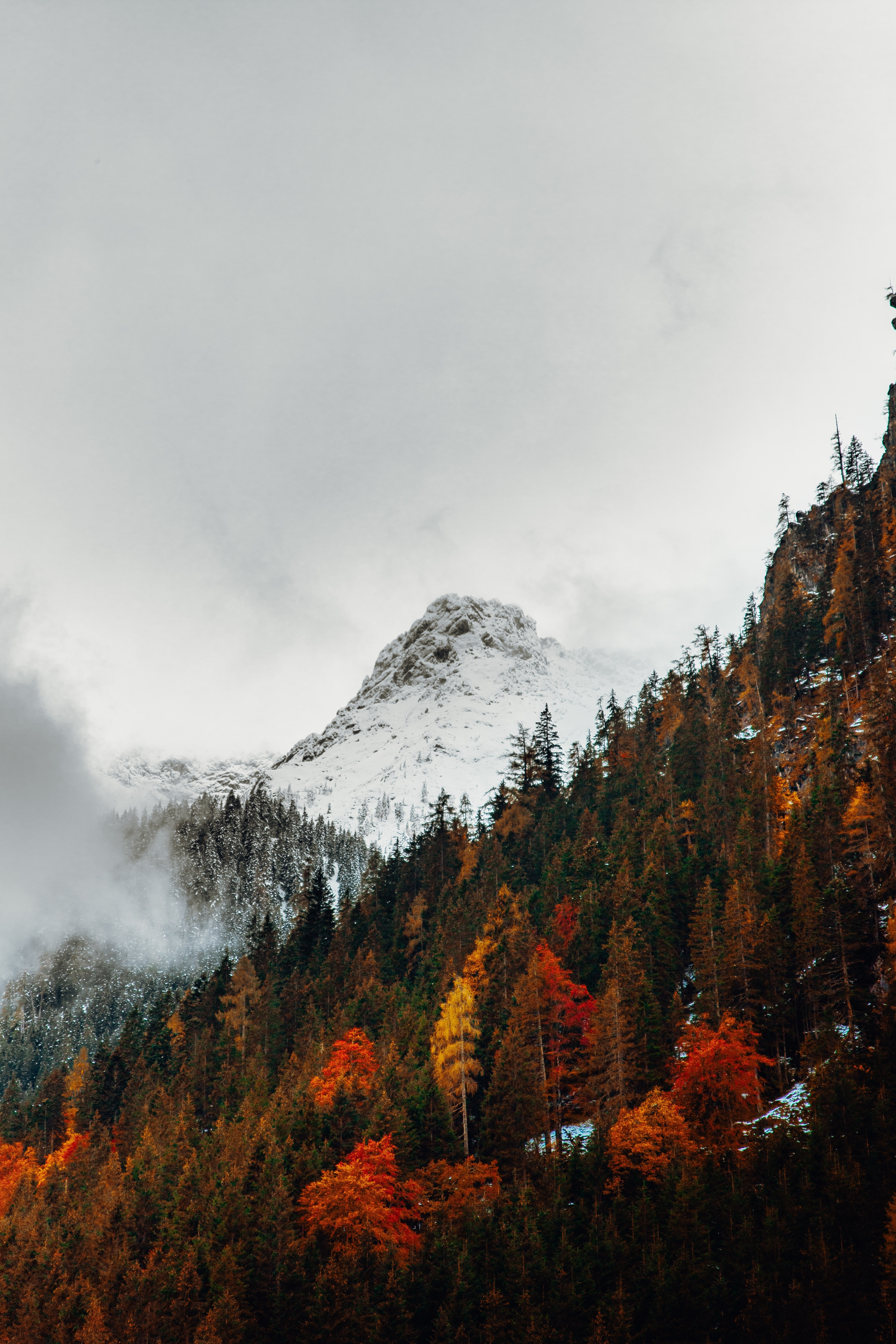 Wallpaper Cold, Trees, Autumn, Snow, Snow Line, Winter, Fall, Mountains:4160x6240