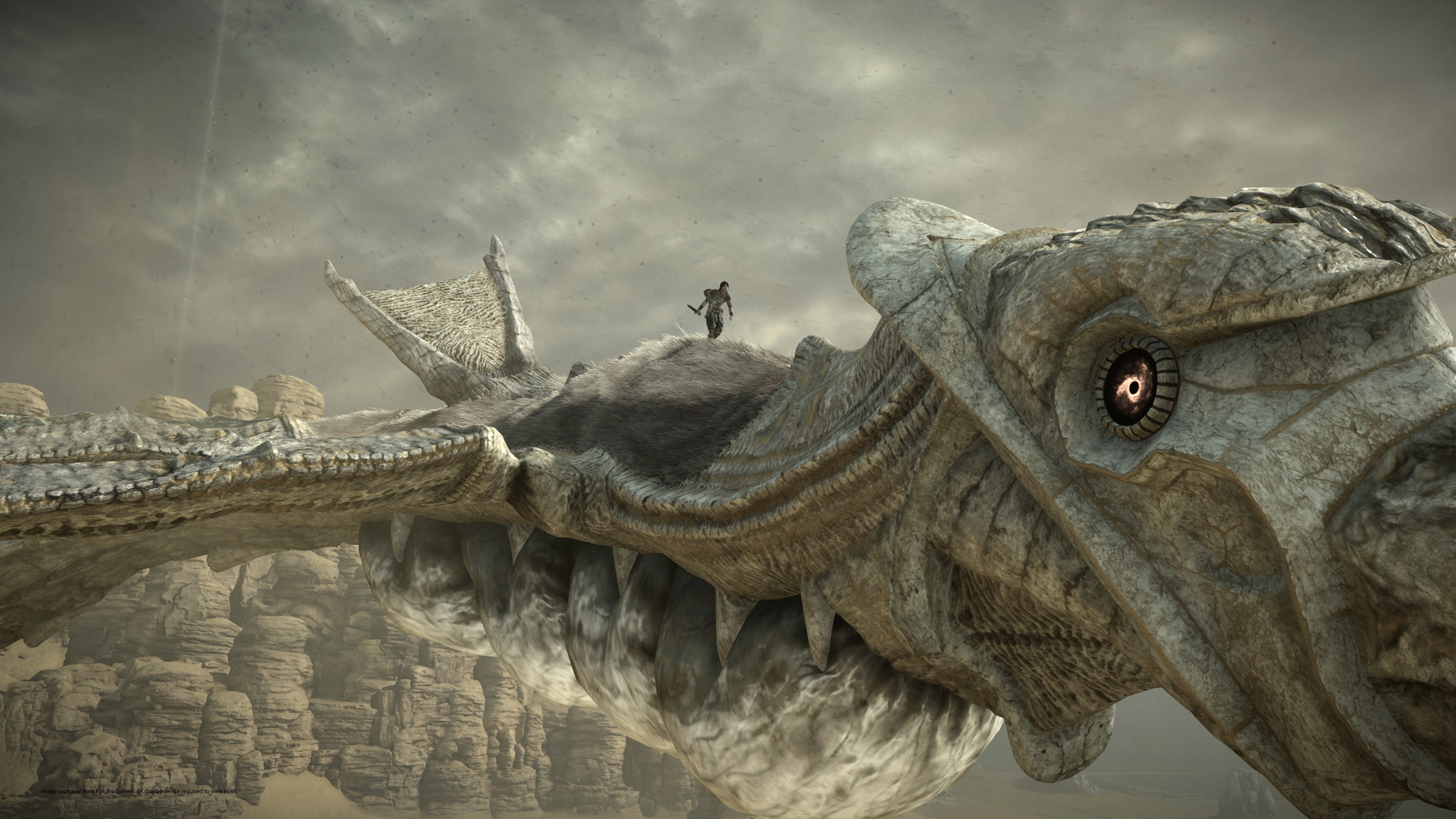 Shadow of the Colossus 1080P, 2K, 4K, 5K HD wallpapers free