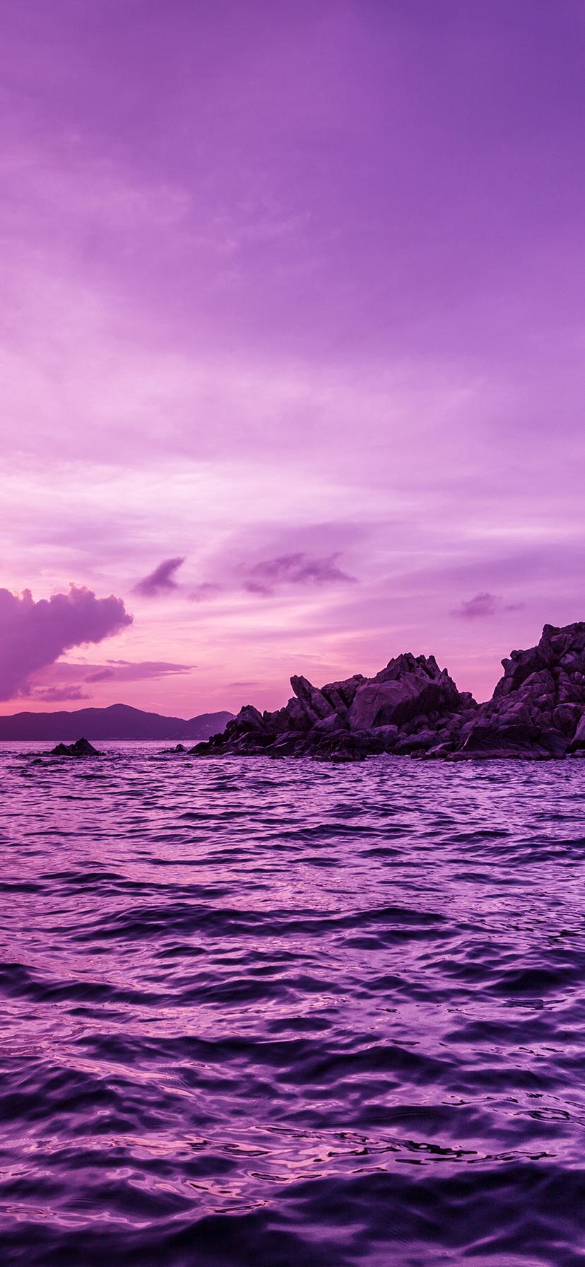 Purple landscape