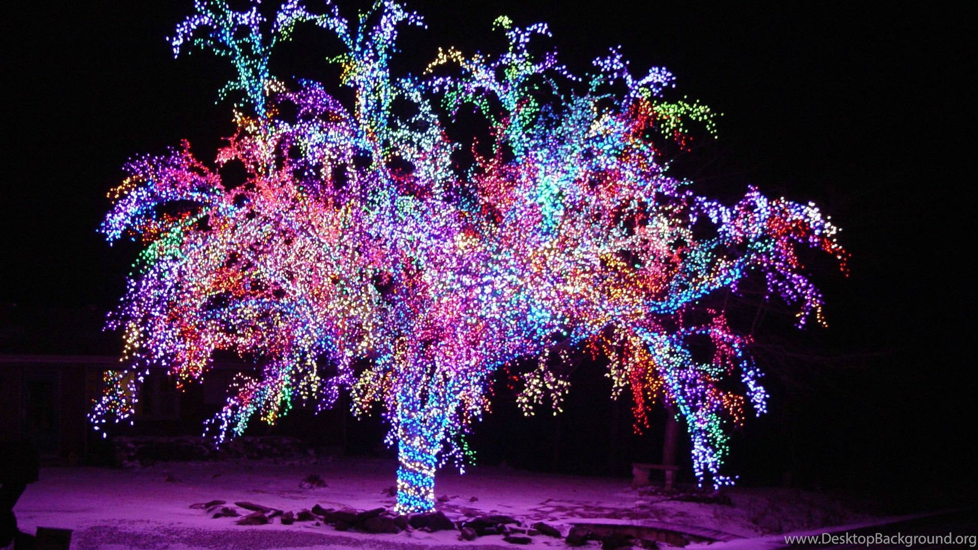 Christmas Lights Background Snow Desktop Background